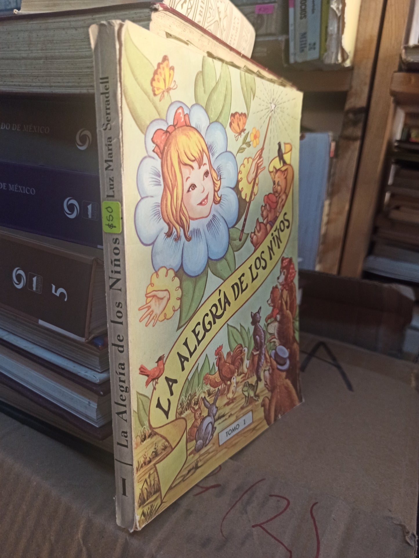 LA ALEGRIA DE LOS NIÑOS POR LUZ MARIA SARRADELL USADO INFANTILES LITERARIO 207