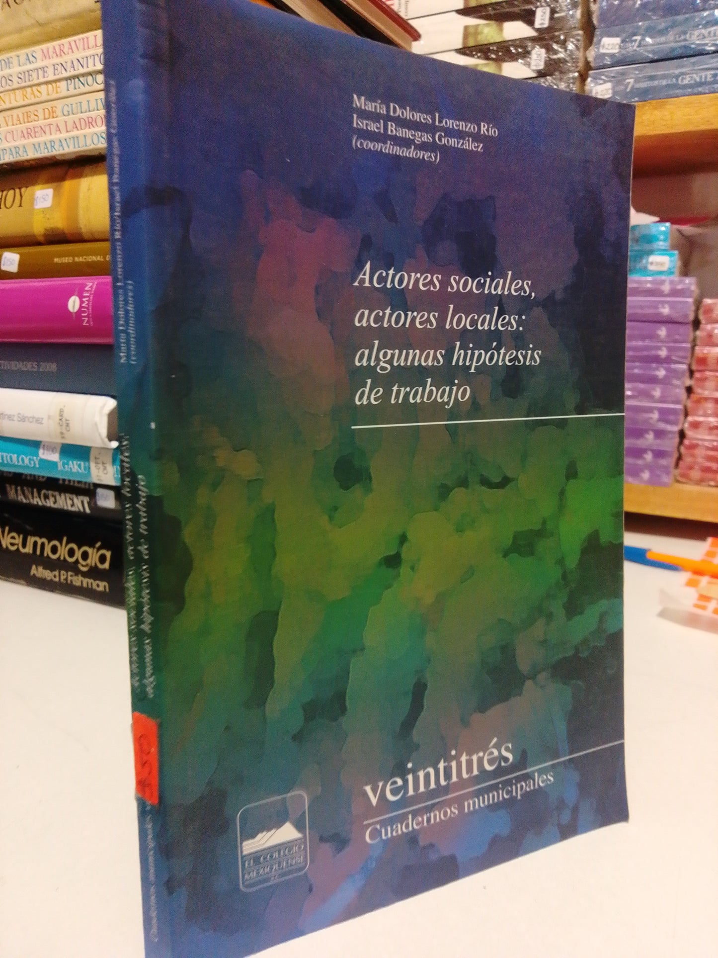 ACTORES SOCIALES, ACTORES LOCALES, ALGUNAS HIPÓTESIS DE TRABAJO POR MARÍA DOLORES LORENZO USADO HISTORIA JUÁREZ