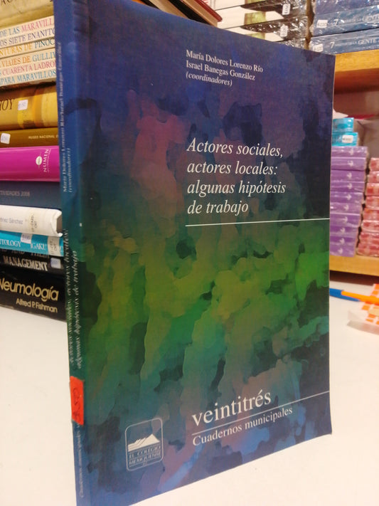 ACTORES SOCIALES, ACTORES LOCALES, ALGUNAS HIPÓTESIS DE TRABAJO POR MARÍA DOLORES LORENZO USADO HISTORIA JUÁREZ