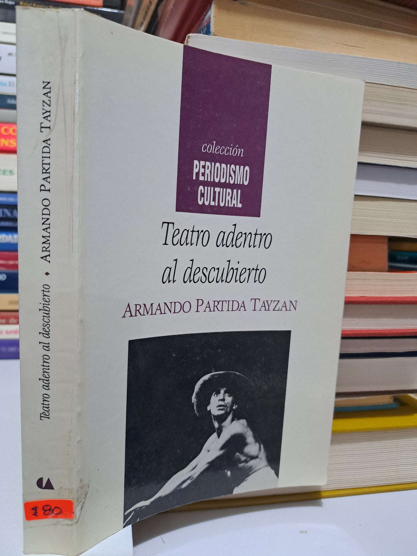 TEATRO ADENTRO AL DESCUBIERTO ARMANDO PARTIDA TAYZAN USADO NOVELA JUÁREZ