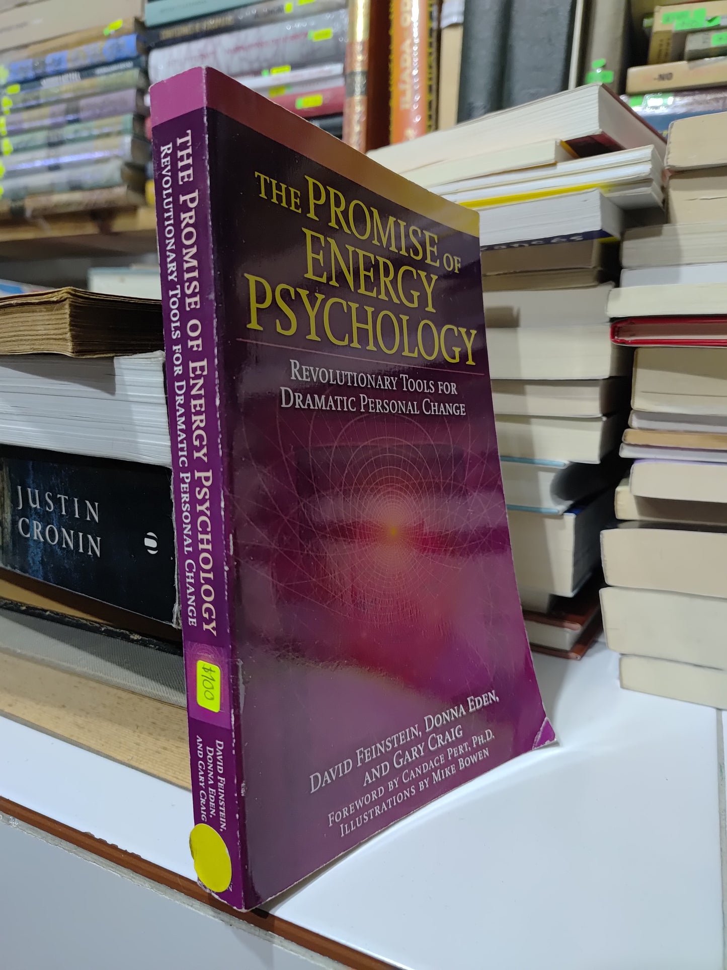 THE PROMISE OF ENERGY PSYCHOLOGY POR DAVID FEINSTEIN USADO PSICOLOGIA JUAREZ 507