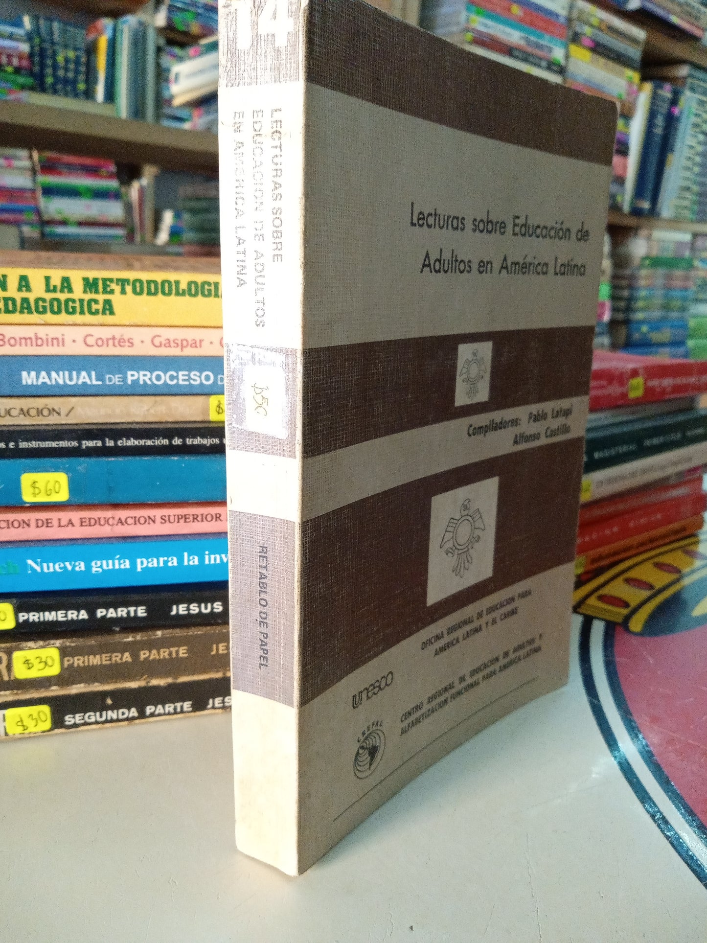 LECTURAS SOBRE EDUCACIÓN DE ADULTOS EN AMERICA LATINA USADO EDUCACIÓN LITERARIO 207
