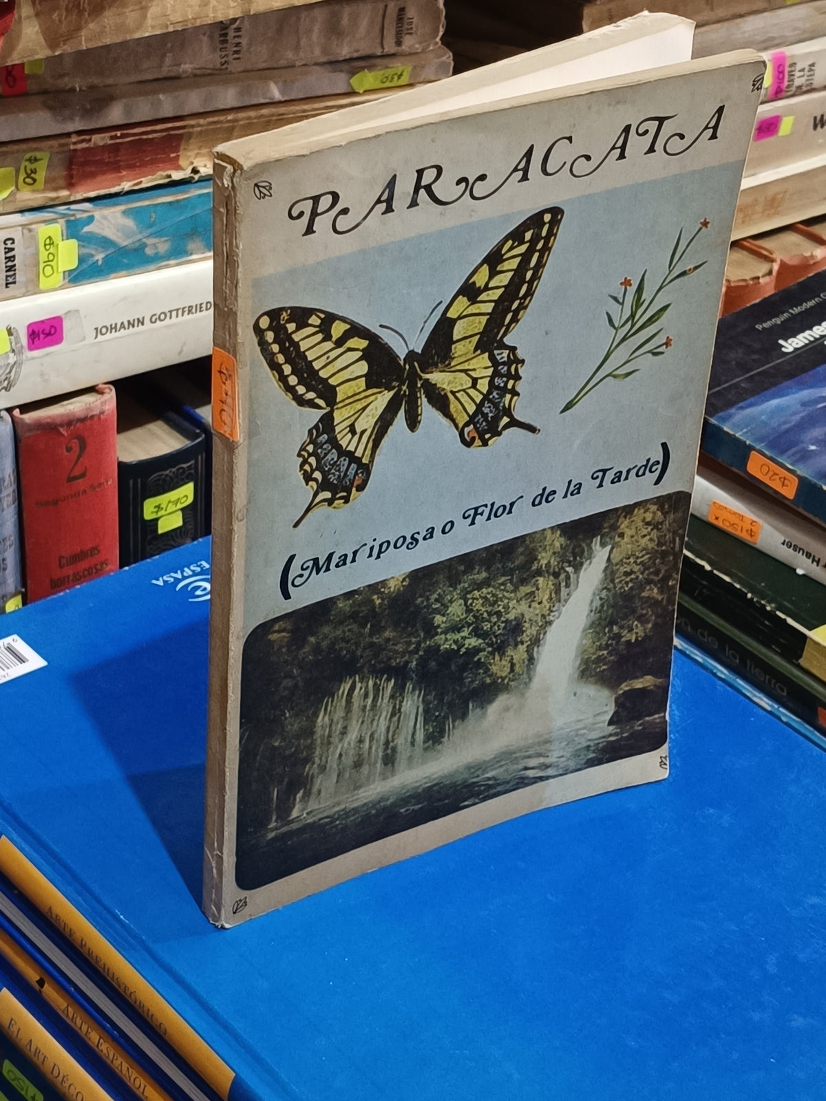 MARIPOSA O FLOR DE LA TARDE PARACATA USADO NOVELA LITERARIO 305