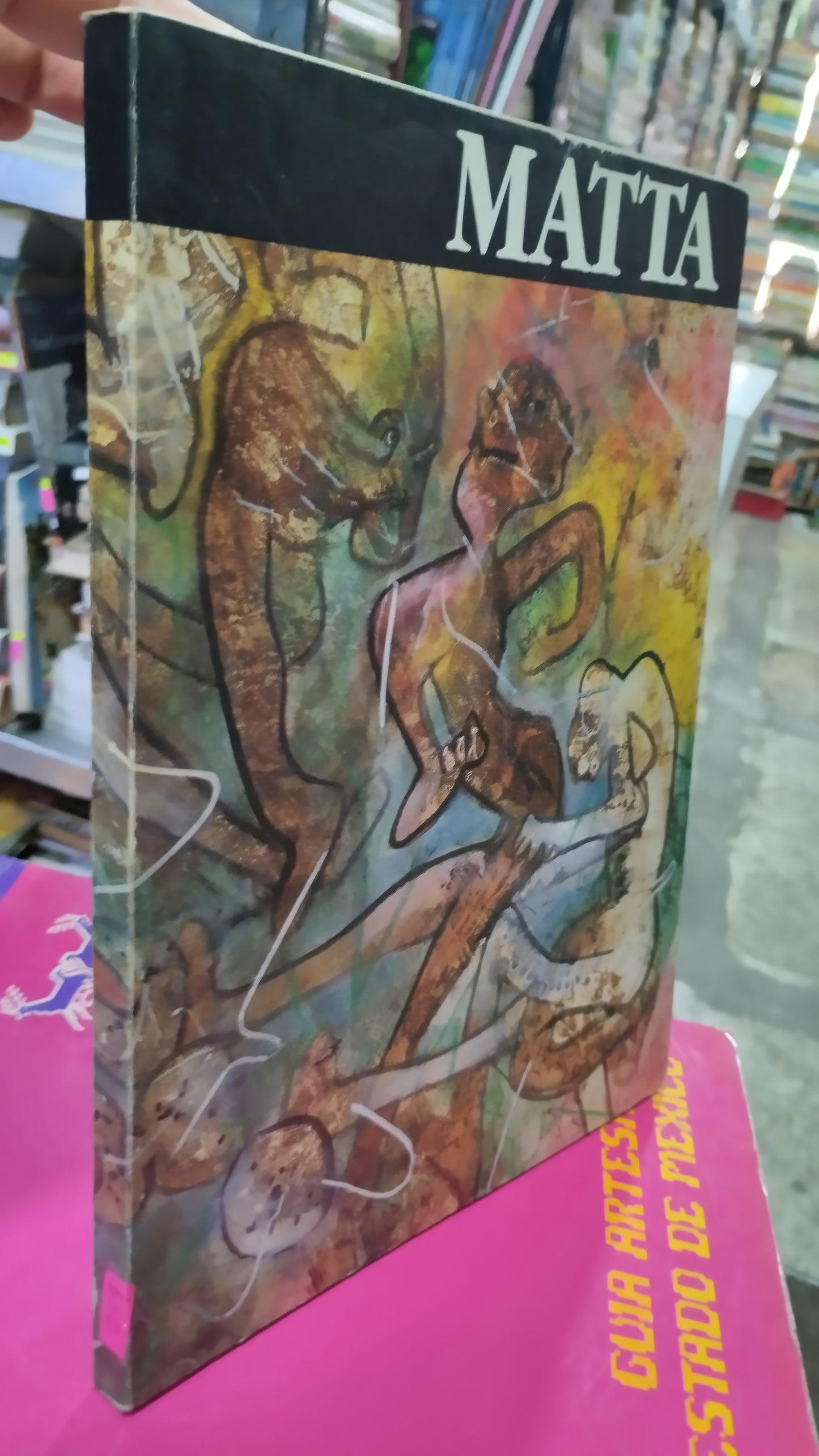 MATTA LIBRO USADO ARTE ALDAMA
