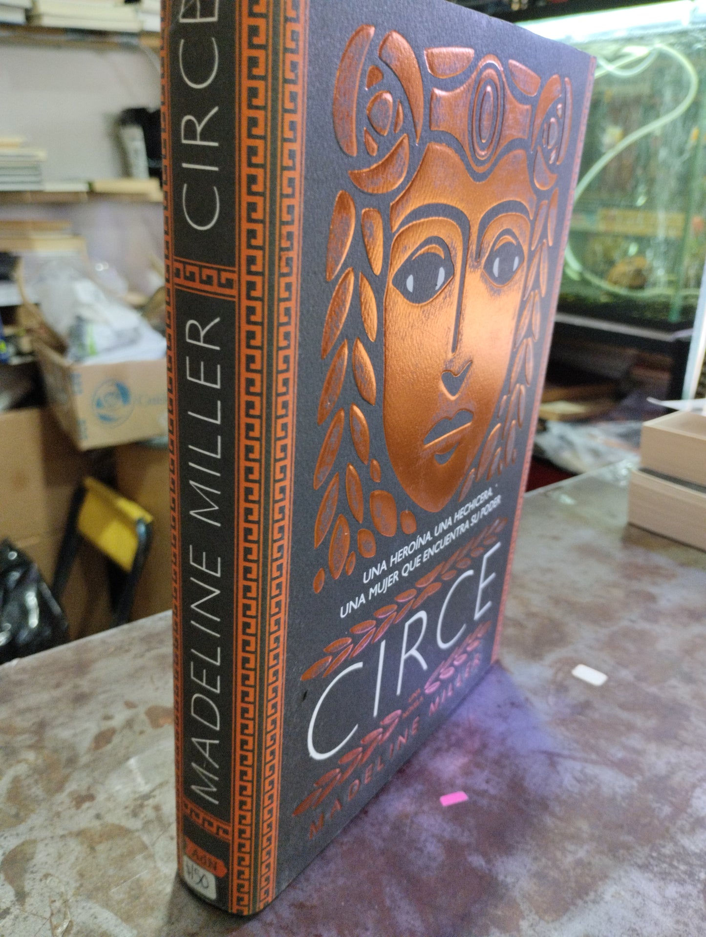 CIRCE POR MADELINE MILLER USADO NOVELAS ALDAMA