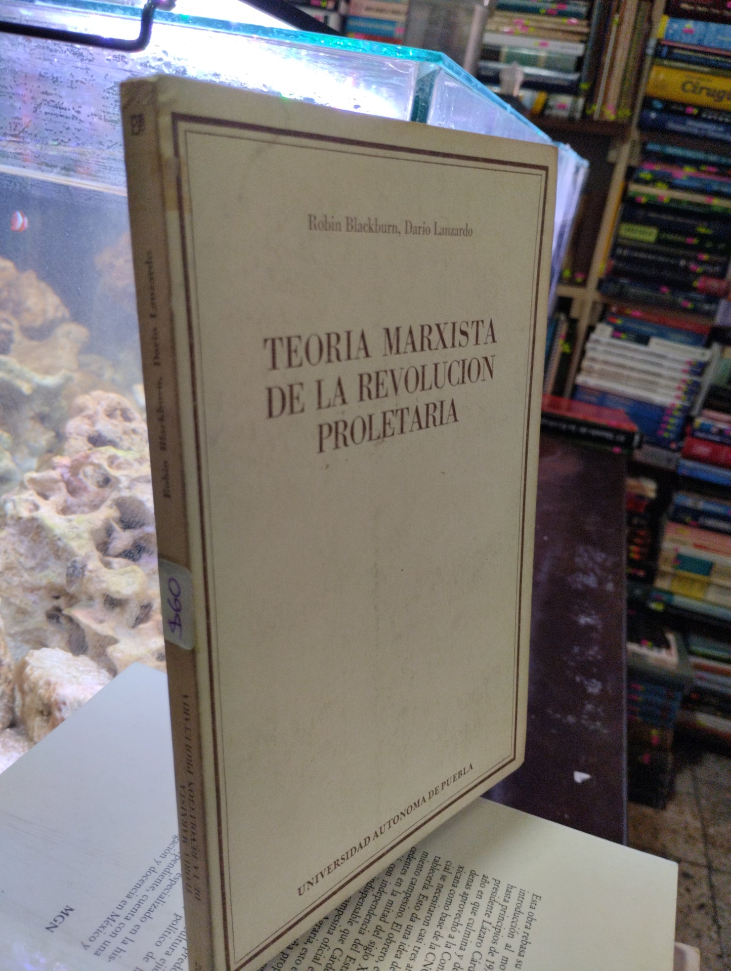 TEORIA MARXISTA DE LA REVOLUCION PROLETARIA POR ROBIN BLACKBURN Y DARIO LANZARDO USADO SOCIOLOGIA ALDAMA