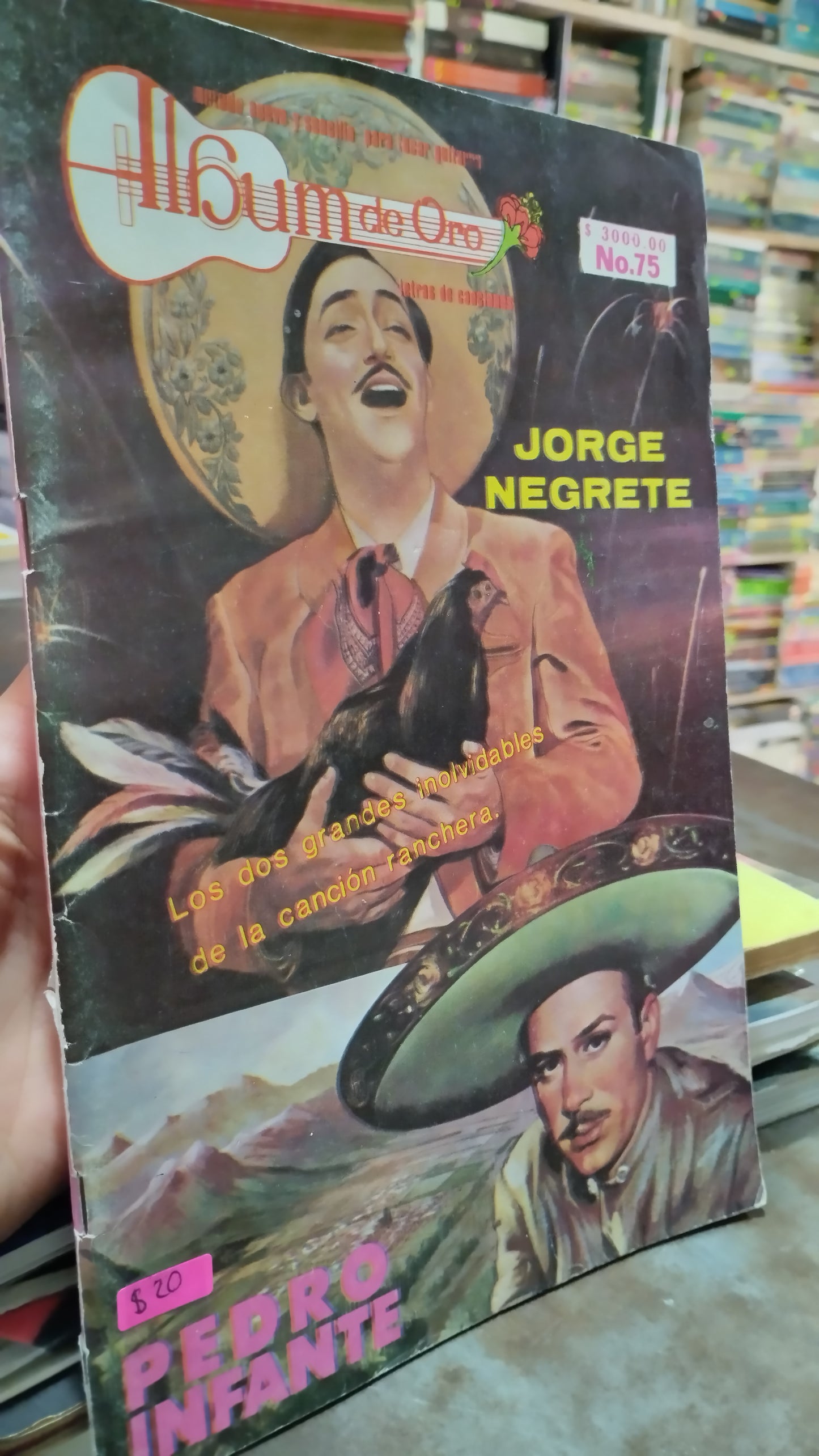 JORGE NEGRETE PEDRO INFANTE LOS DOS GRANDES INOLVIDABLES DE LA CANCION RANCHERA LIBRO USADO MUSICA ALDAMA