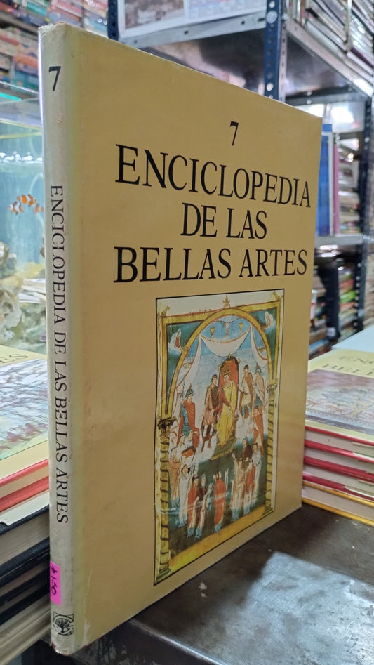 ENCICLOPEDIA DE LAS BELLAS ARTES 7 LIBRO USADO ARTE ALDAMA