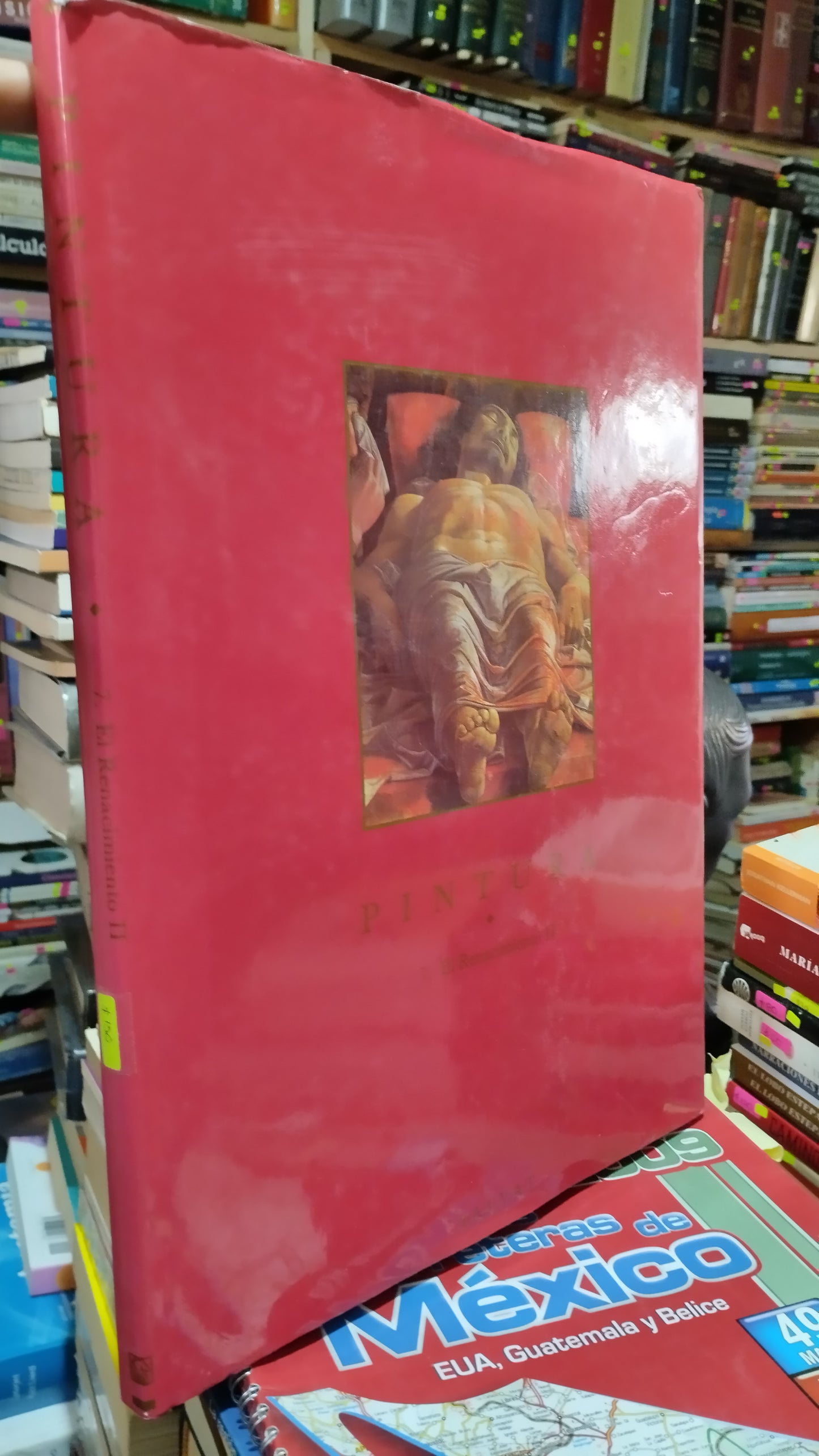 PINTURA 7 RENACIMIENTO II LIBRO USADO ARTE ALDAMA