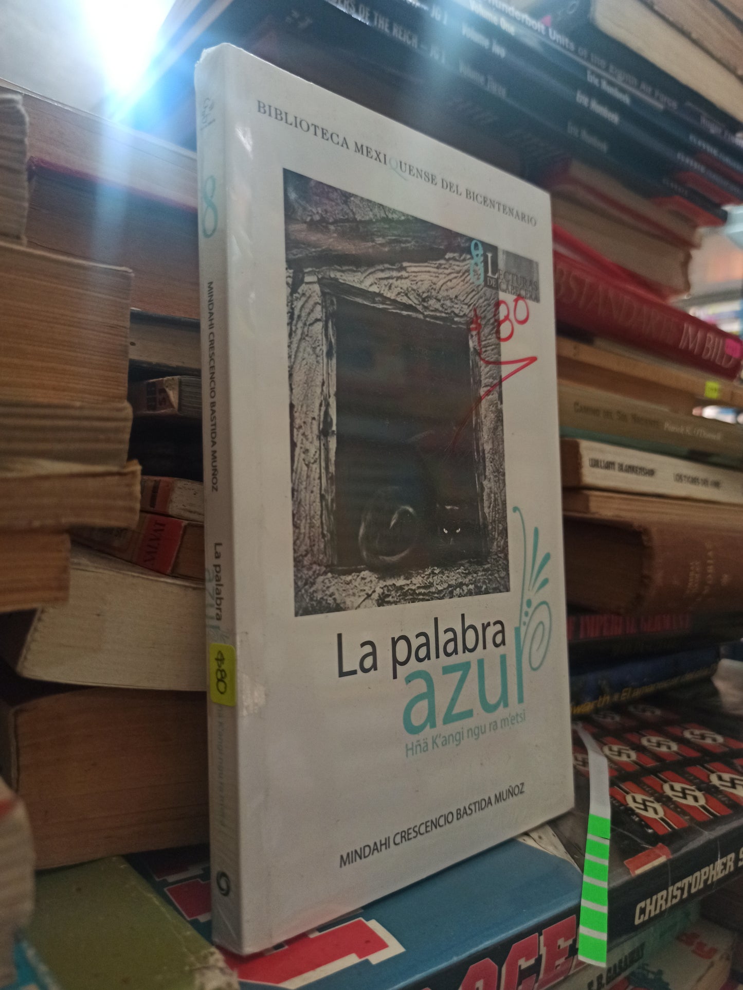 LA PALABRA AZUL POR MANDAHI CRESCENCIO BASTIDA MUÑOZ USADO NOVELAS ALDAMA