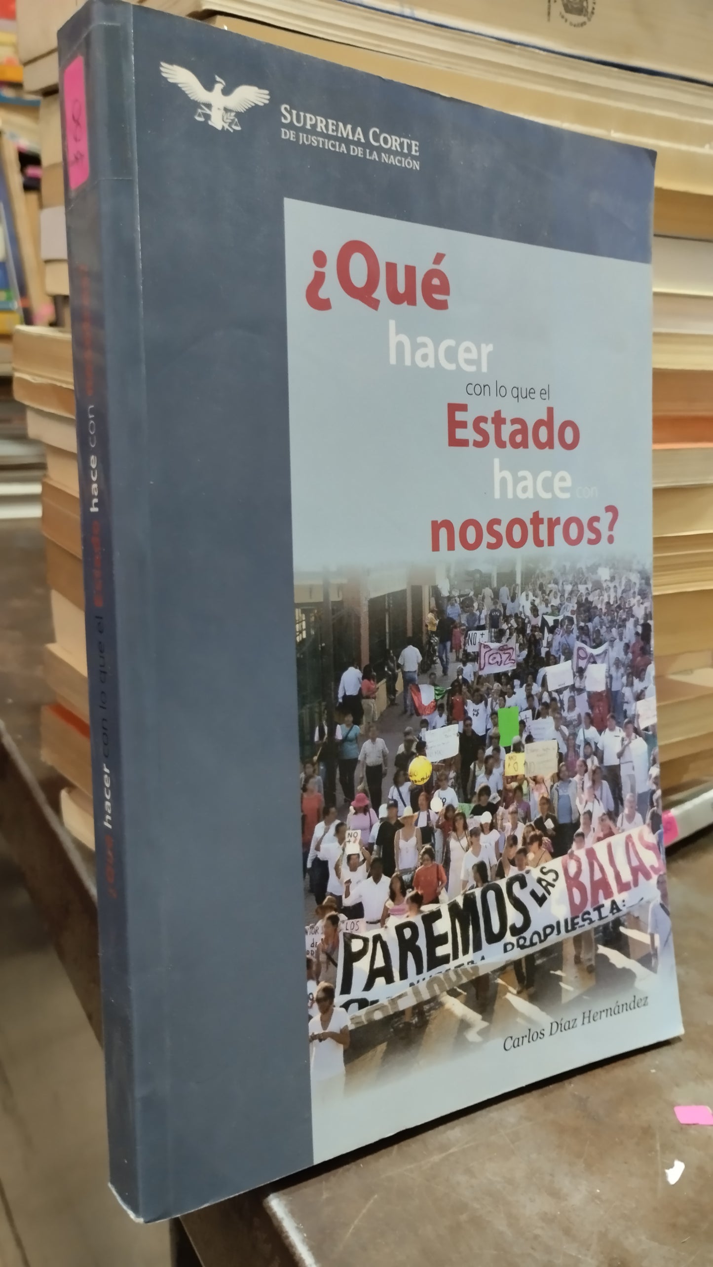 QUE HACER CON LO QUE EL ESTADO HACE CON NOSOTROS POR CARLOS DIAZ HERNANDEZ LIBRO USADO POLITICA ALDAMA