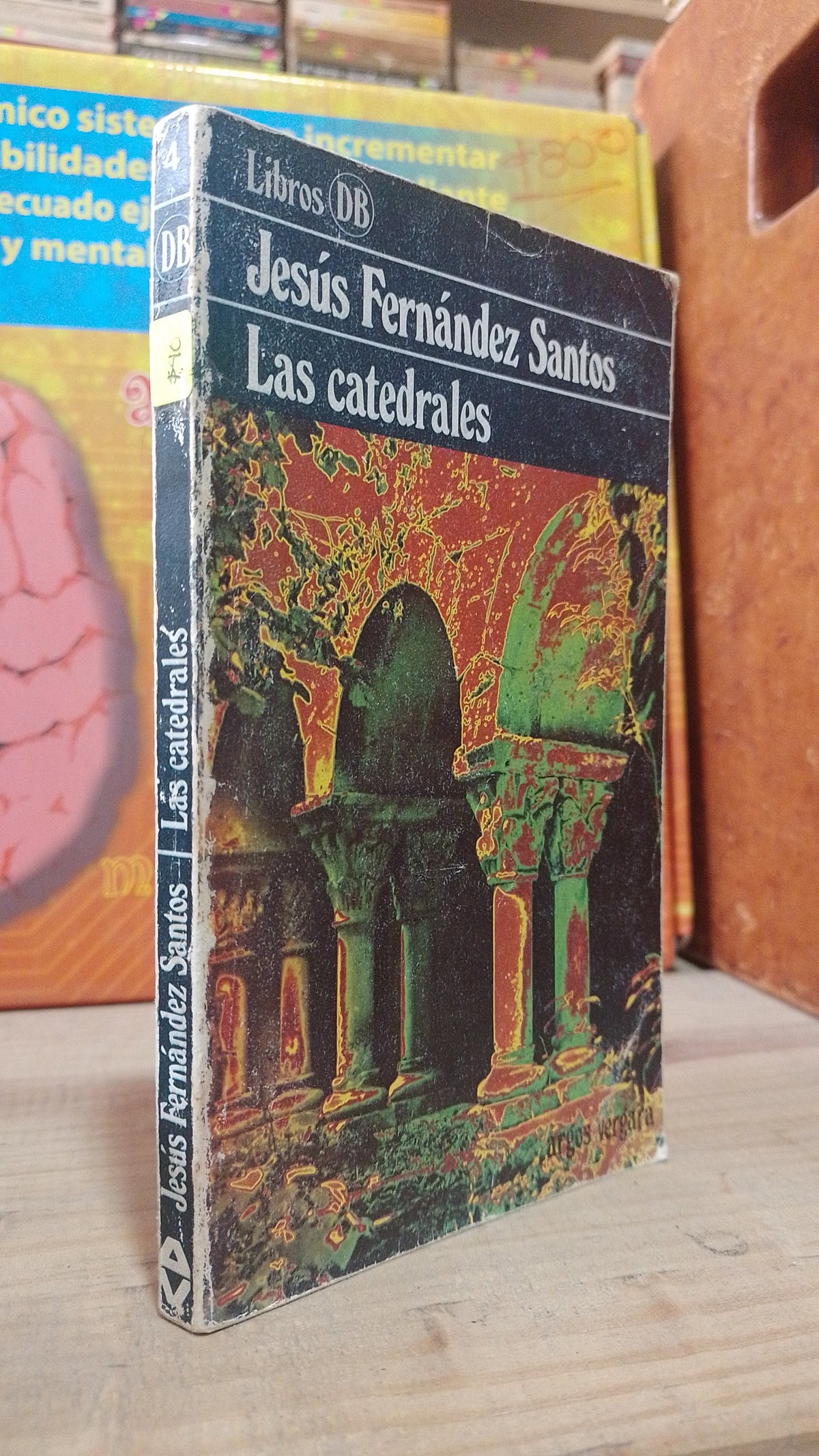 LAS CATEDRALES POR JESUS FERNANDEZ SANTOS USADO NOVELA ALDAMA
