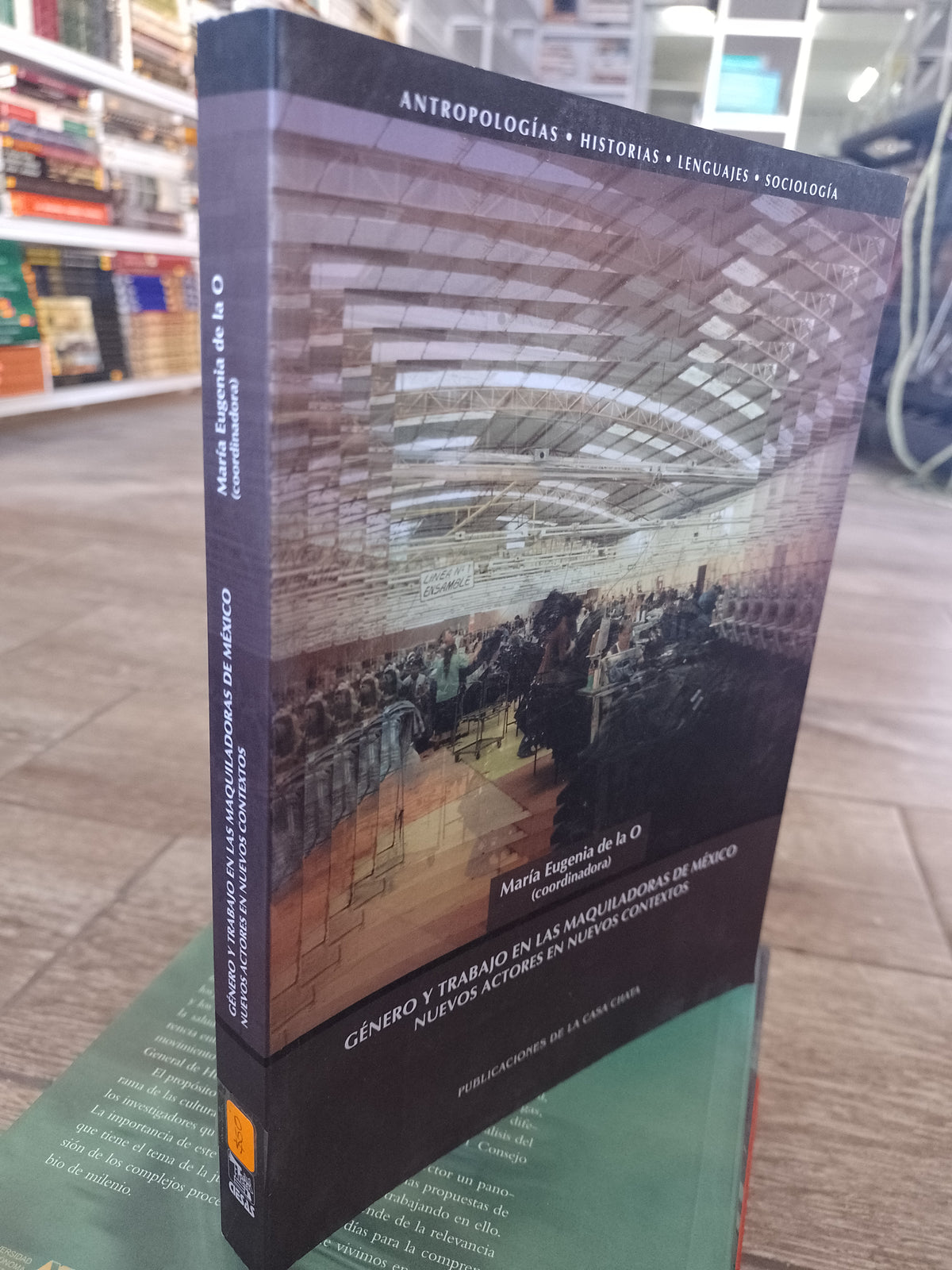 GENERO Y TRABAJO EN LAS MAQUILADORAS DE MEXICO NUEVOS ACTORES EN MUEVOS CONTEXTOS PIR MARIA EUGENIA DE LA O USADO SOCIOLOGIA JUAREZ 515