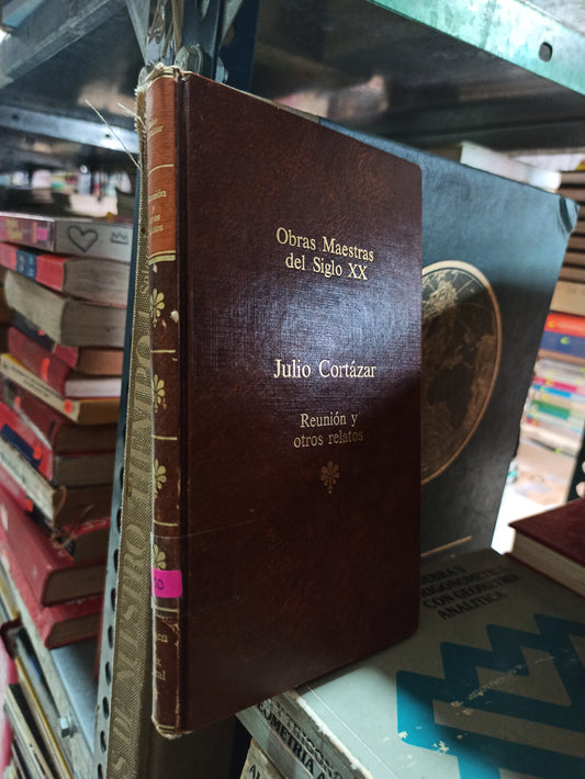 OBRAS MAESTRAS DEL SIGLO 20 POR JULIO CORTÁZAR USADO NOVELAS ALDAMA