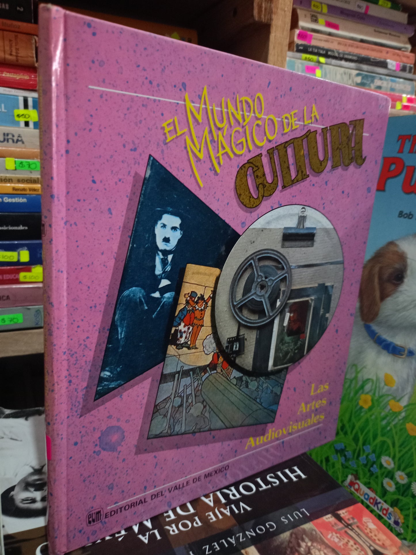 EL MUNDO MAGICO DE LA CULTURA USADO INFANTIL LITERARIO 305