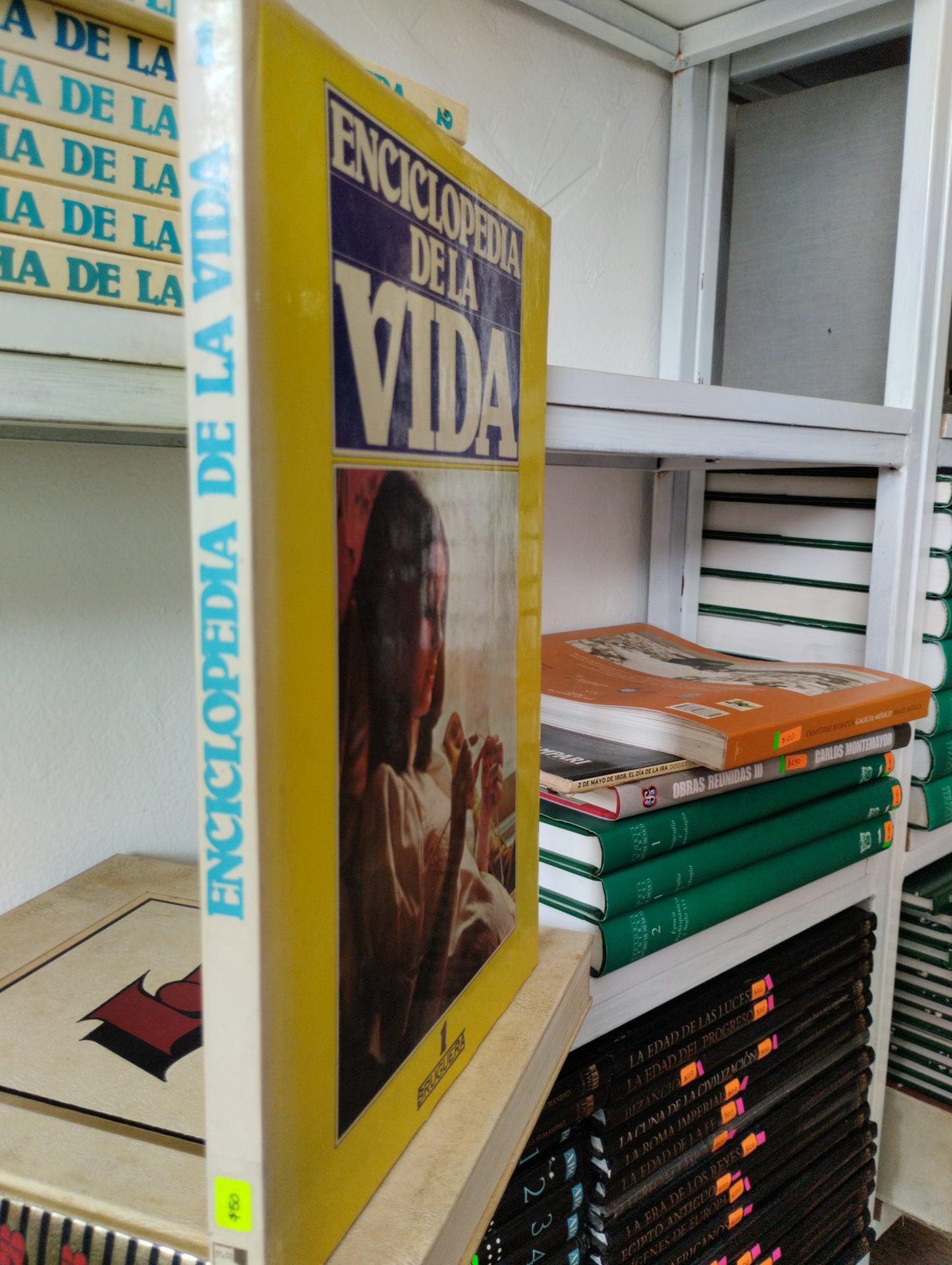 ENCICLOPEDIA DE LA VIDA USADO PSICOLOGIA JUAREZ 515
