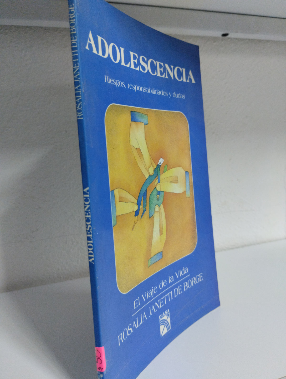 ADOLESCENCIA EL VIAJE DE LA VIDA ROSALIA JANETTI DE BORGE USADO SUPERACION PERSONAL JUAREZ 515