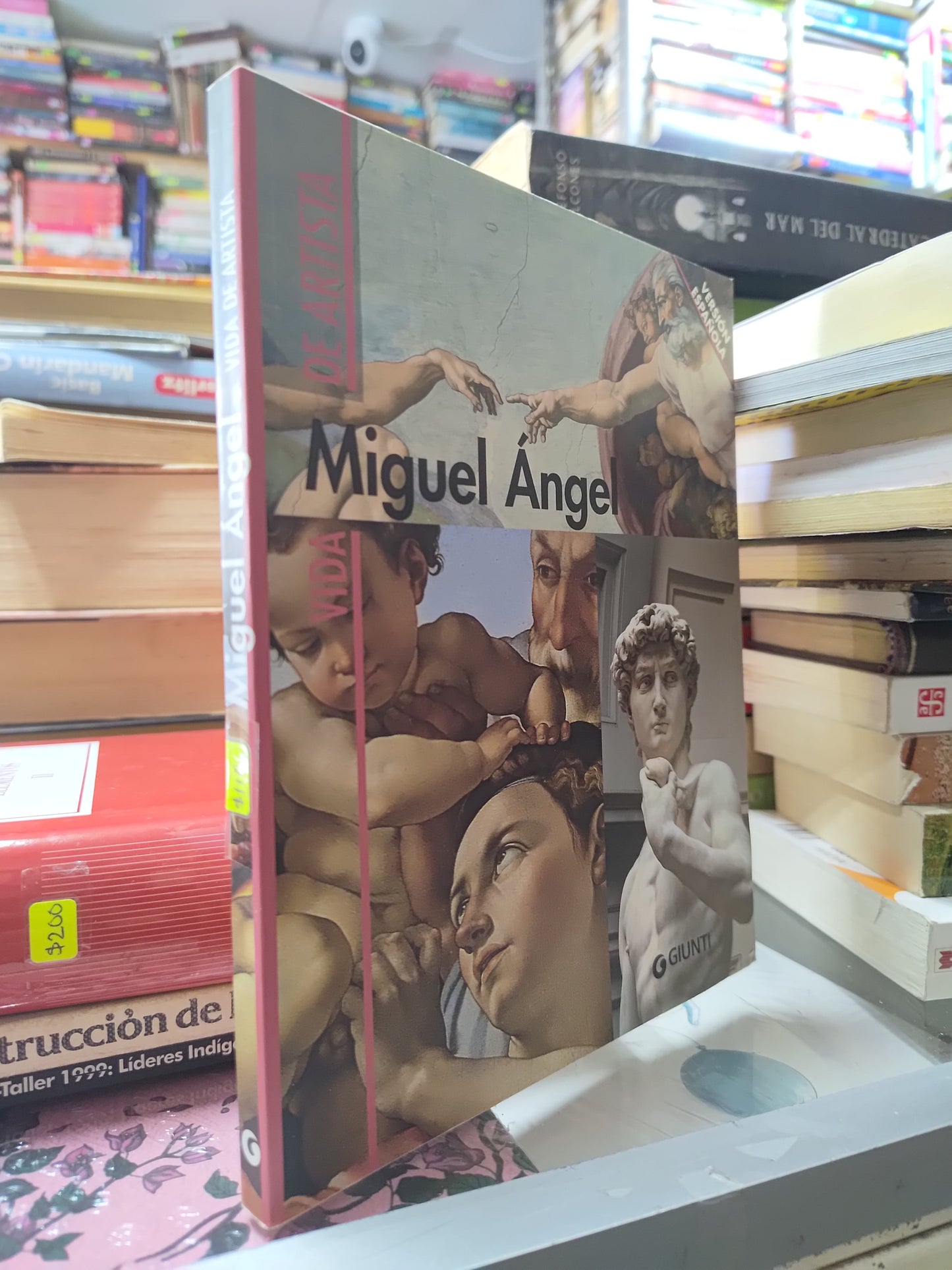 VIDA DE ARTISTA MIGUEL ANGEL POR EDITORIAL GIUNTI USADO ARTES JUAREZ 507