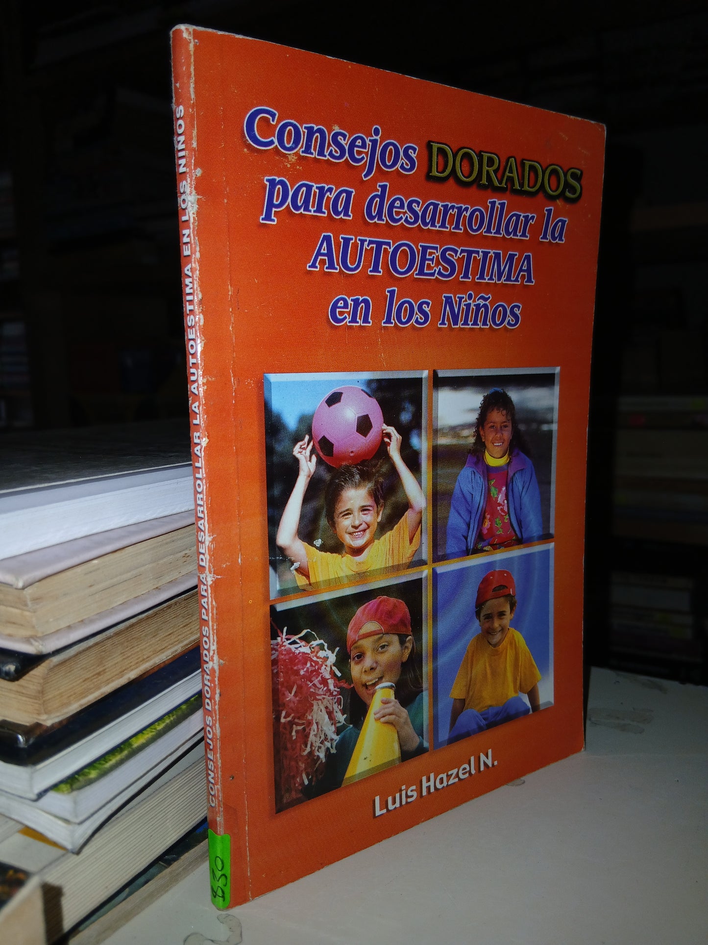 CONSEJOS DORADOS PARA DESARROLLAR LA AUTOESTIMA EN LOS NIÑOS POR LUIS HAZEL N. USADO SUPERACIÓN PERSONAL LITERARIO 207