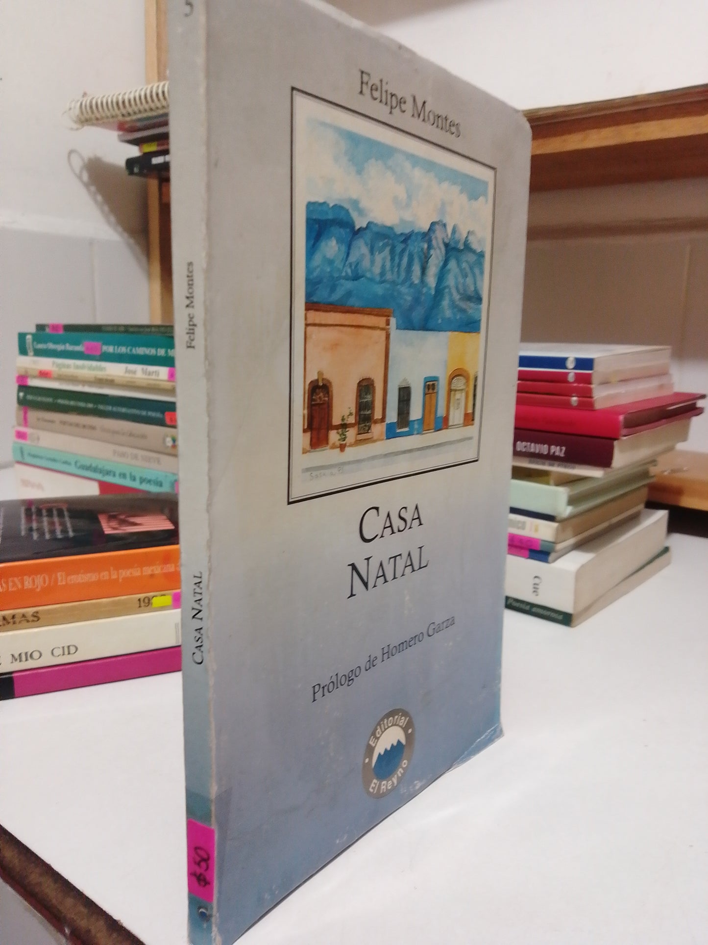 CASA NATAL POR FELIPE MONTES USADO POESIA JUAREZ