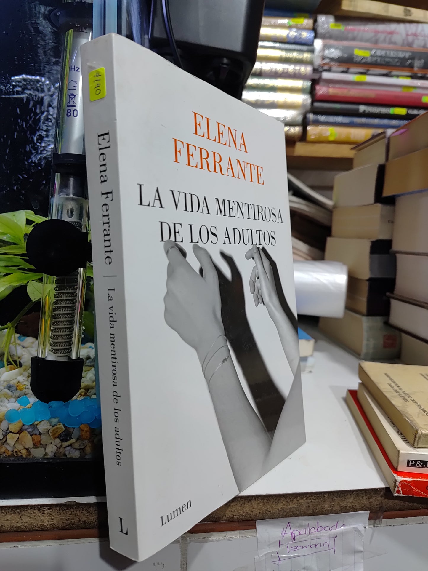 LA VIDA MENTIROSA DE LOS ADULTOS POR ELENA FERRANTE USADO NOVELAS JUAREZ 507