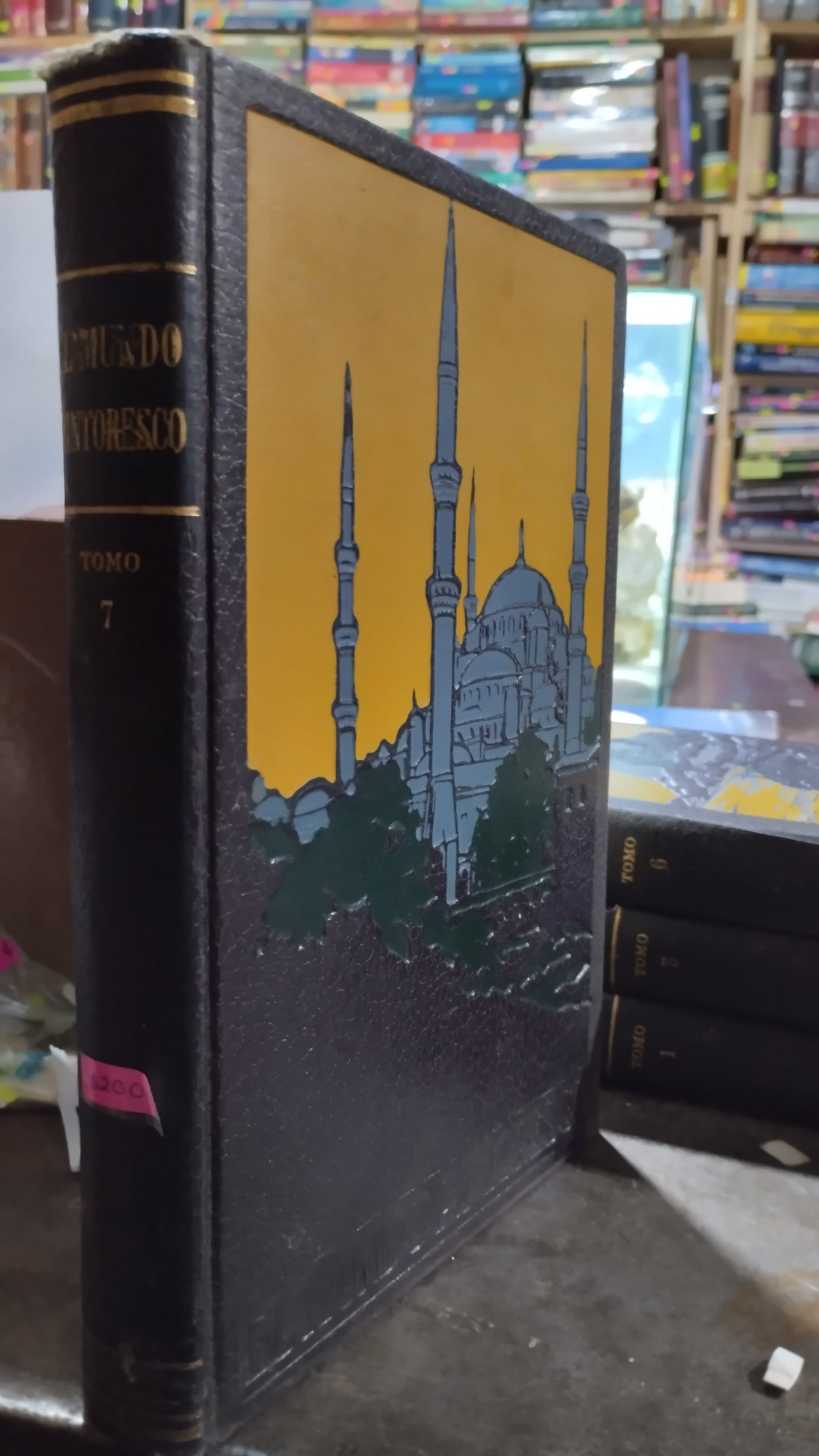 MUNDO PINTORESCO 7 LIBRO USADO HISTORIA ALDAMA