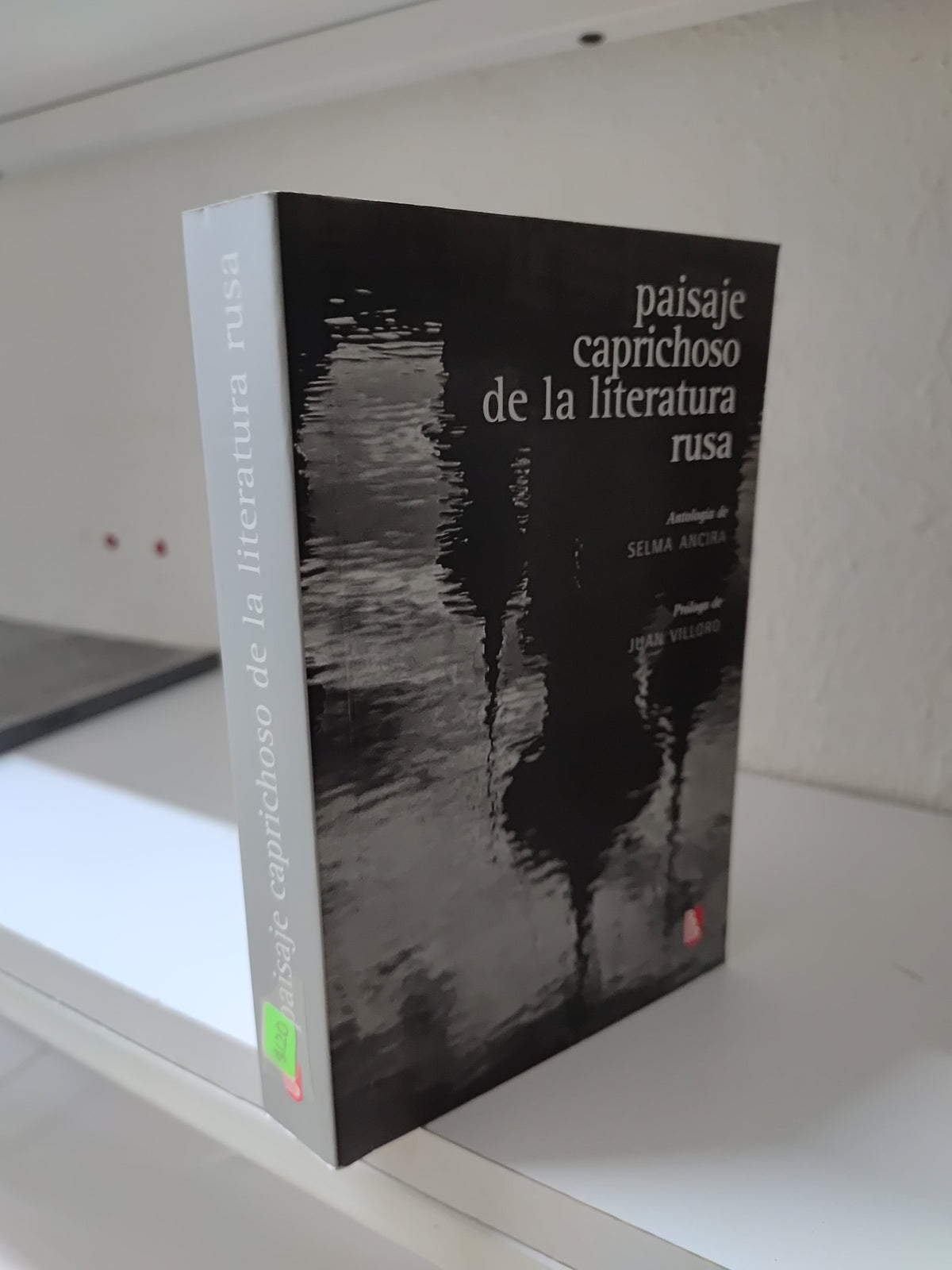 PAISAJE CAPRICHOSO DE LA LITERATURA RUSA POR SILVIA ANCIRA USADO NOVELAS JUAREZ 515