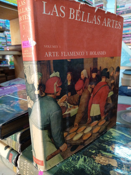 ARTE FLAMENCO Y HOLANDES 3 USADO ARTE LITERARIO 207