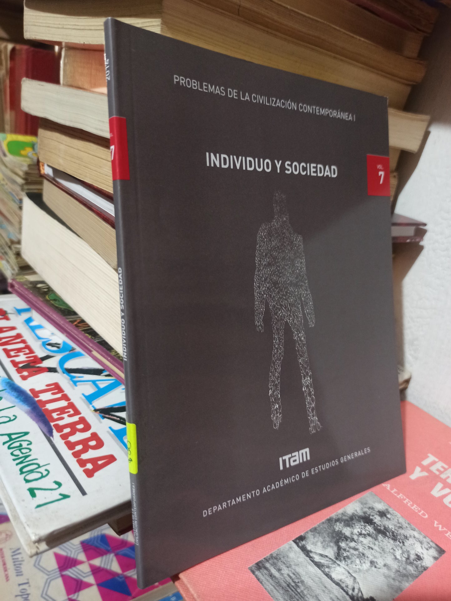 INDIVIDUO Y SOCIEDAD VOL. 7 POR DEPARTAMENTO DE ESTUDIOS GENERALES USADO POLÍTICA JUÁREZ
