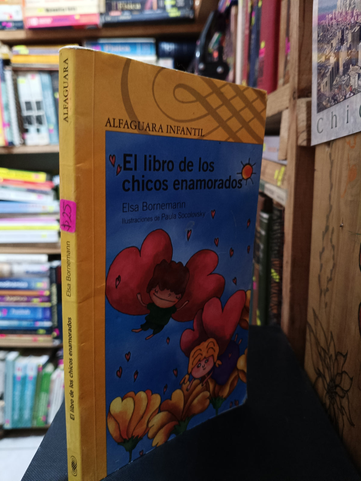 EL LIBRO DE LOS CHICOS ENAMORADOS ELSA BORNEMANN USADO INFANTIL LITERARIO 305