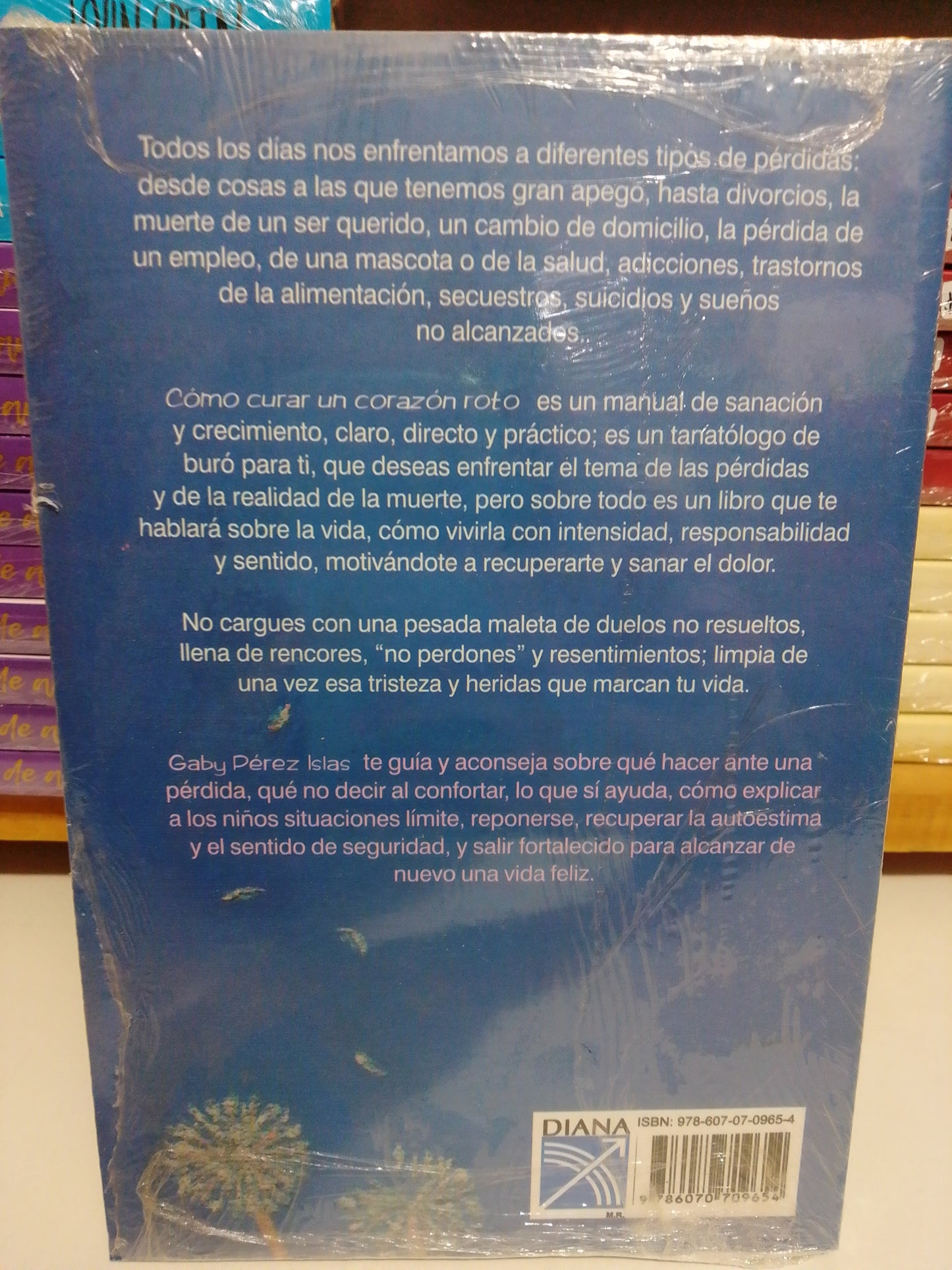 COMO CURAR UN CORAZON ROTO POR GABY PEREZ ISLAS NUEVO JUAREZ