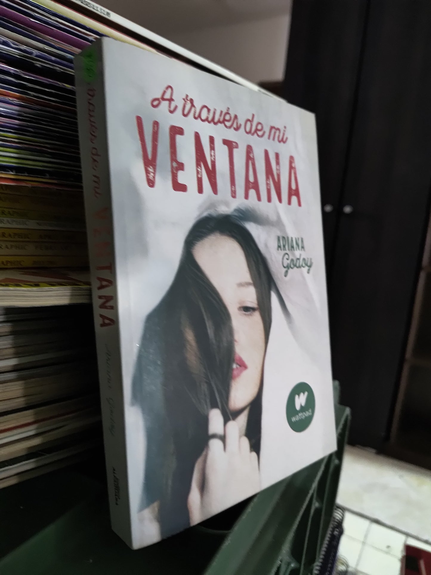 A TRAVES DE MI VENTANA POR ARIANA GODOY USADO NOVELAS JUAREZ 515