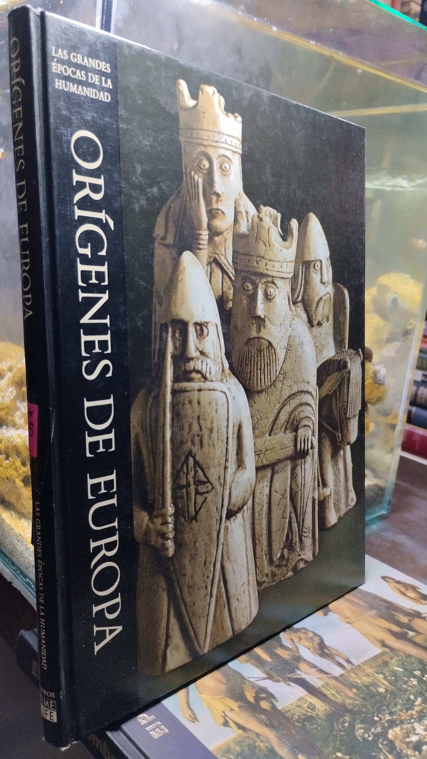 ORIGENES DE EUROPA LIBRO USADO HISTORIA ALDAMA