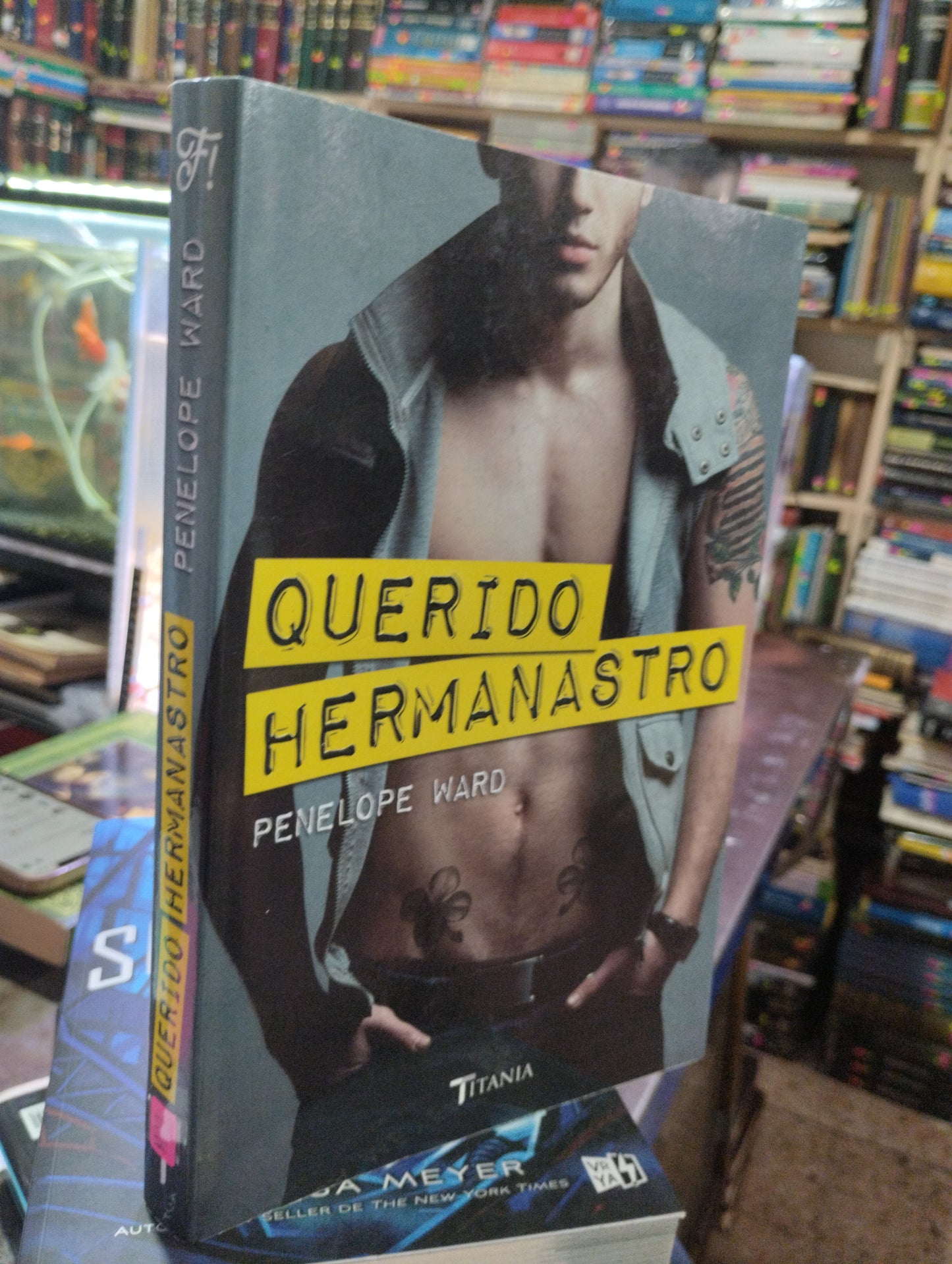 QUERIDO HERMANASTRO POR PENELOPE WARD USADO NOVELA ALDAMA