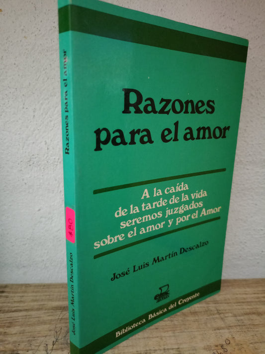 RAZONES PARA EL AMOR JOSE LUIS MARTIN DESCALZO USADO NOVELA LITERARIO 305