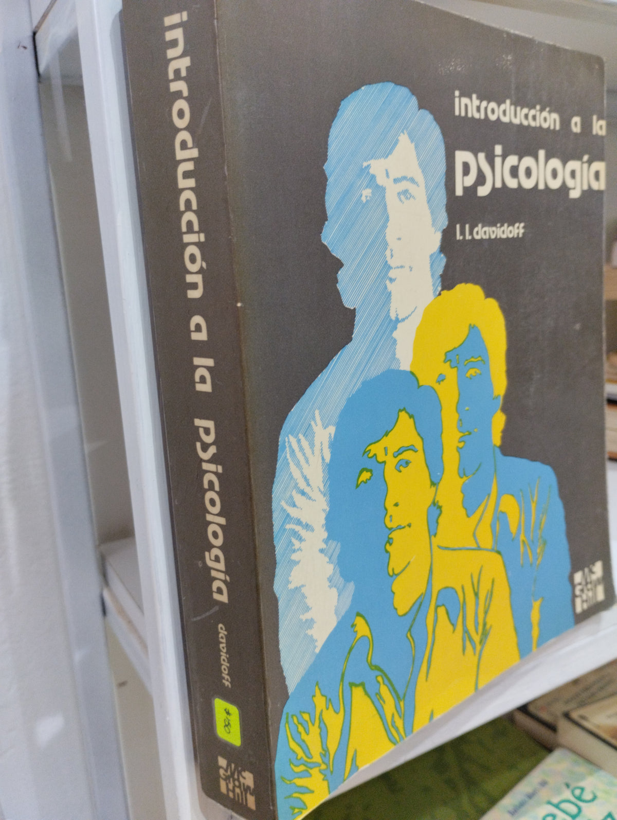 INTRODUCCION A LA PSICOLOGIA I I DAVIDOFF USADO PSICOLOGIA JUAREZ 515