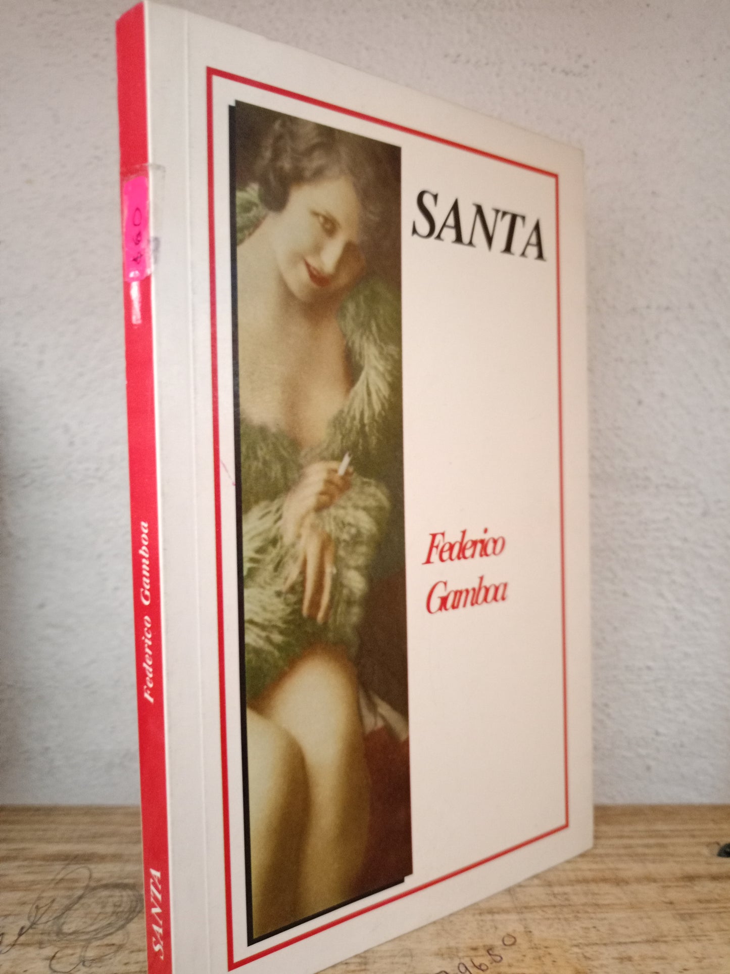 SANTA FEDERICO GAMBOA USADO NOVELA LITERARIO 305