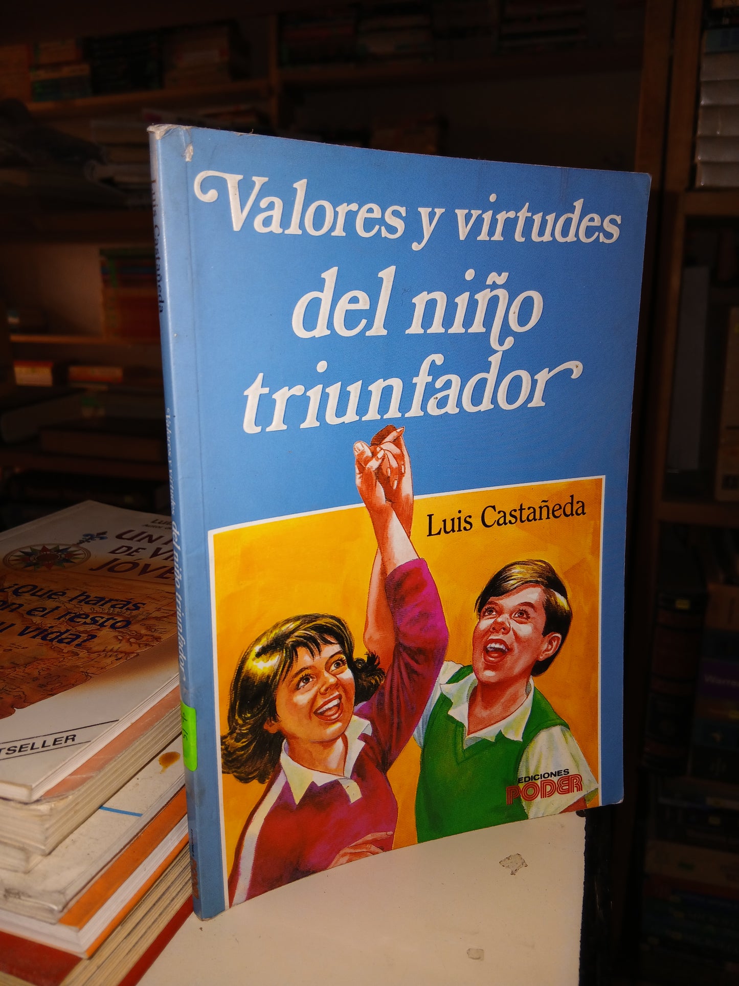 VALORES Y VIRTUDES DEL NIÑO TRIUNFADOR POR LUIS CASTAÑEDA USADO SUPERACIÓN PERSONAL LITERARIO 207