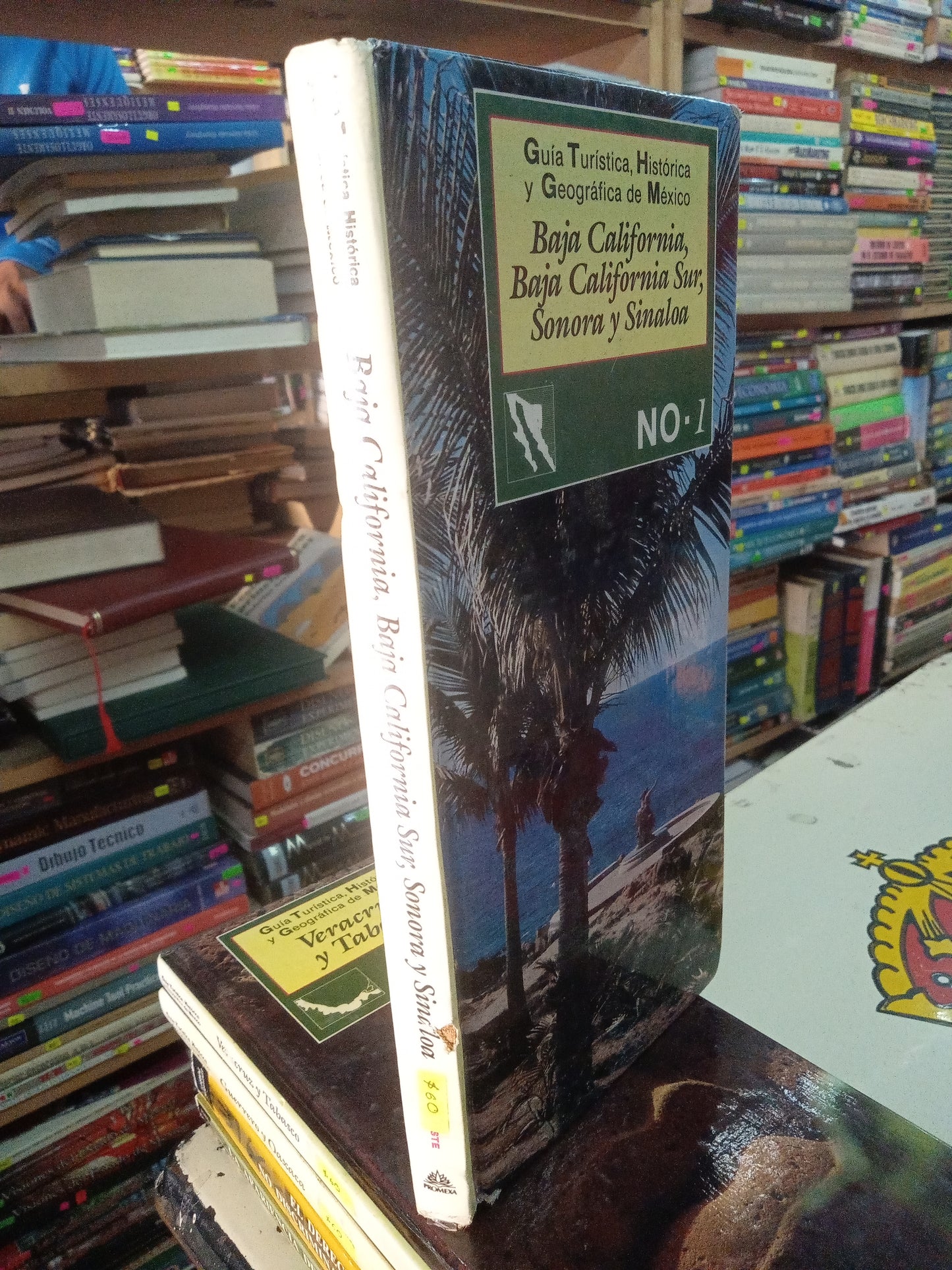 GUIA TURISTICA HISTORICA Y GEOGRAFICA DE MEXICO BAJA CALIFORNIA BAJA CALIFORNIA SUR SONORA Y SINALOA USADO GEOGRAFIA LITERARIO 207