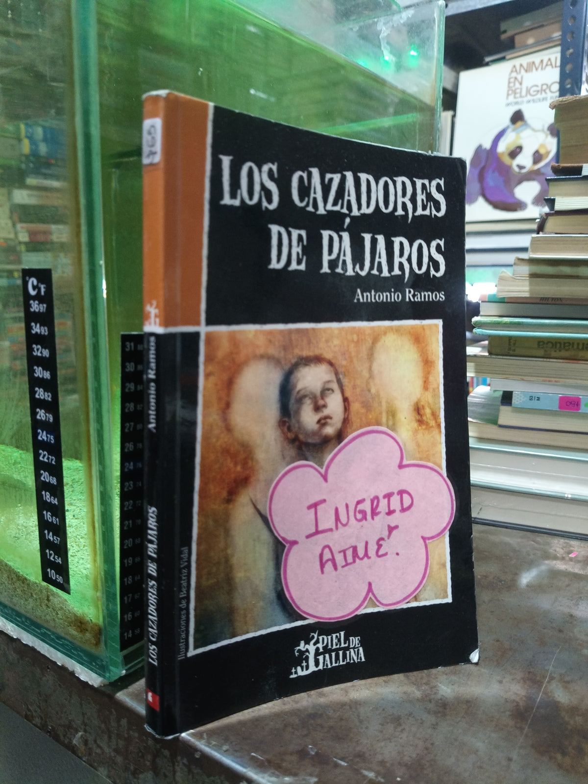 LOS CAZADORES DE PÁJAROS POR ANTONIO RAMOS USADO INFANTIL ALDAMA