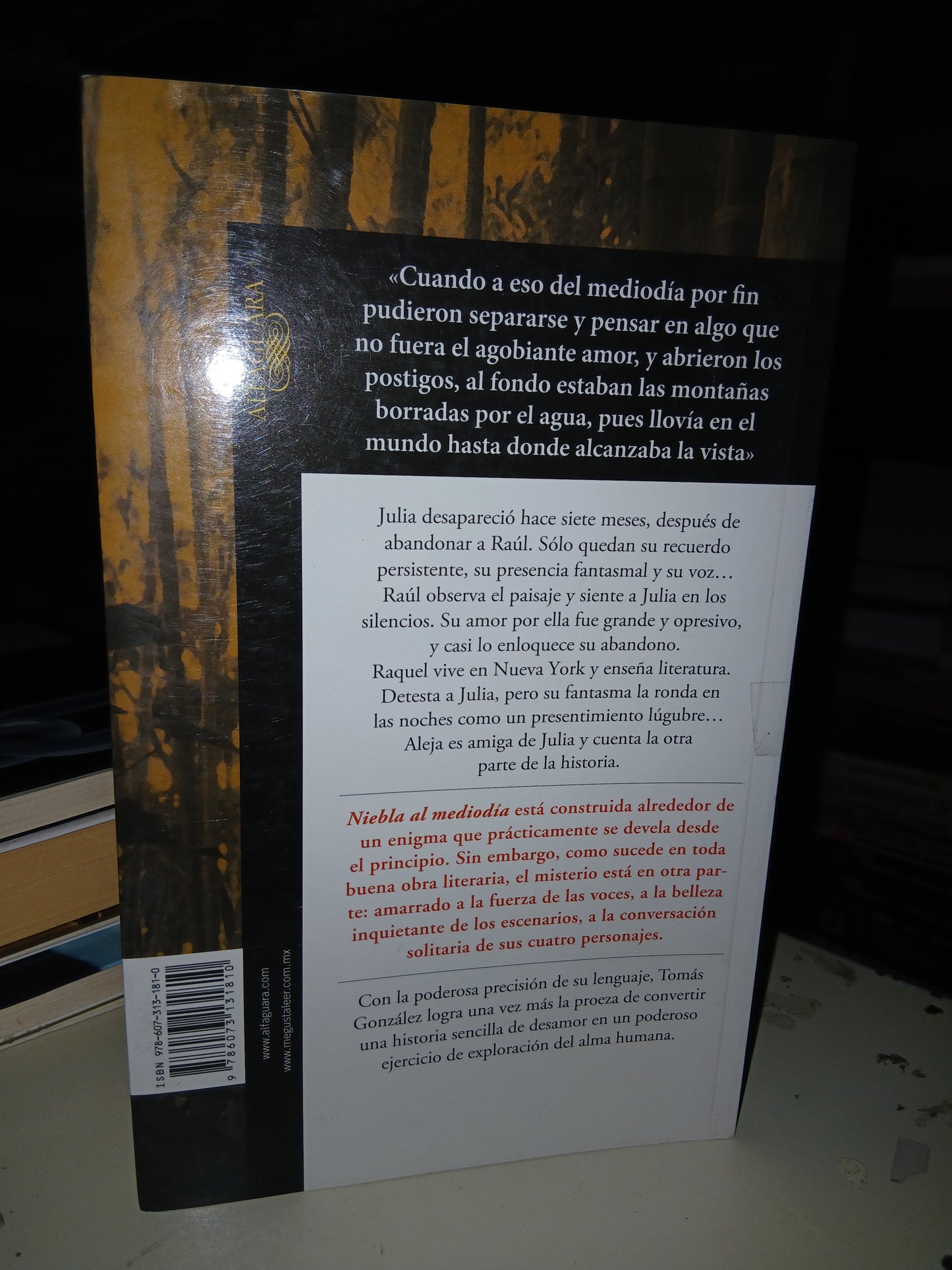 NIEBLA AL MEDIODÍA POR TOMÁS GONZÁLEZ USADO NOVELA LITERARIO 207