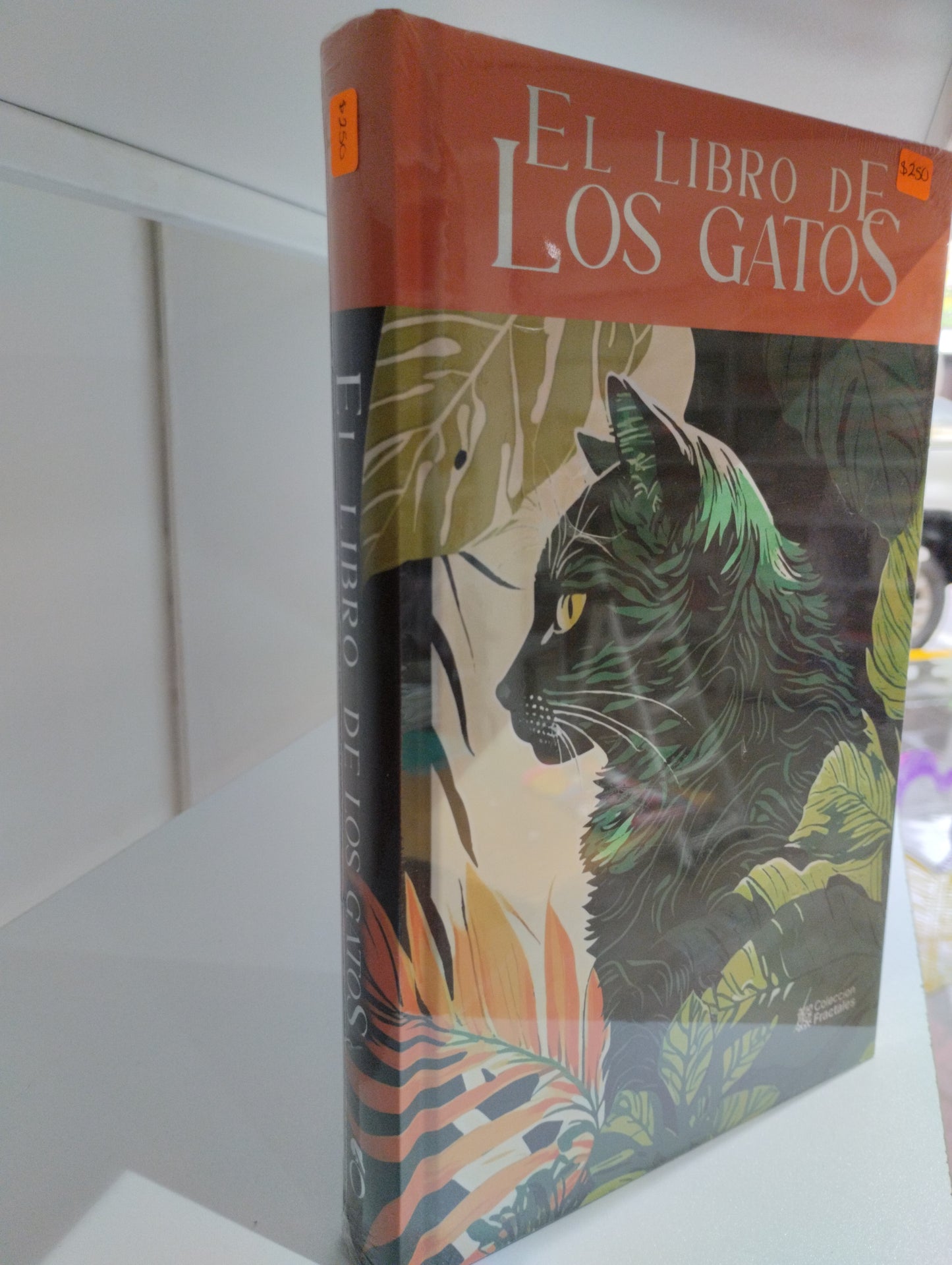 EL LIBRO DE LOS GATOS NUEVO JUAREZ 515