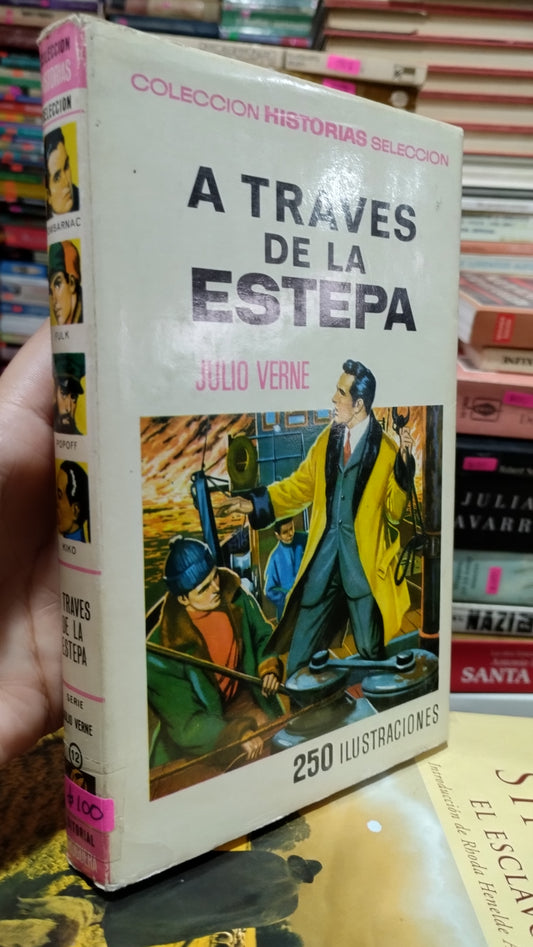 A TRAVES DE LA ESTEPA POR JULIO VERNE LIBRO USADO NOVELAS ALDAMA