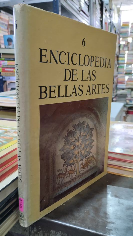 ENCICLOPEDIA DE LAS BELLAS ARTES 6 LIBRO USADO ARTE ALDAMA