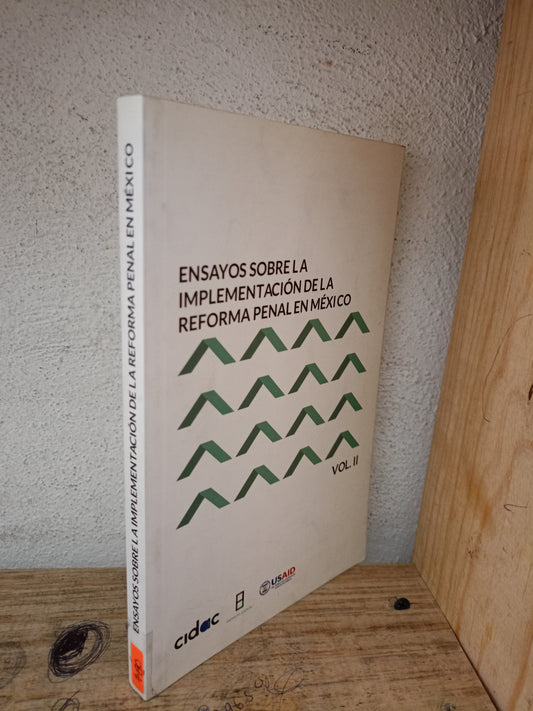 ENSAYO SOBRE LA IMPLEMENTACIÓN DE LA REFORMA PENAL EN MÉXICO VOL. II USADO DERECHO LITERARIO 305