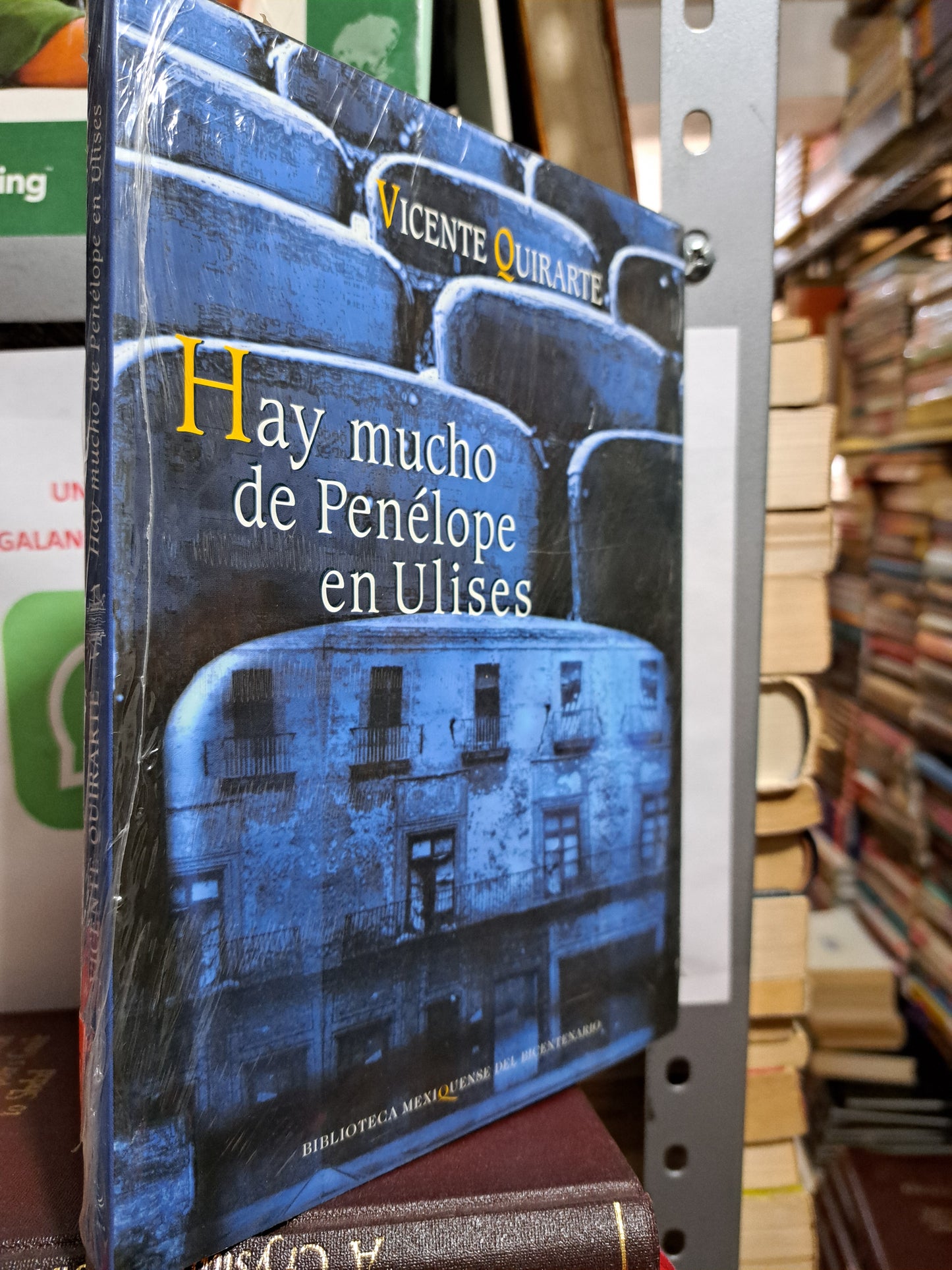 HAY MUCHO PENÉLOPE EN ULISES  VICENTE QUIRARTE USADO NOVELA JUÁREZ