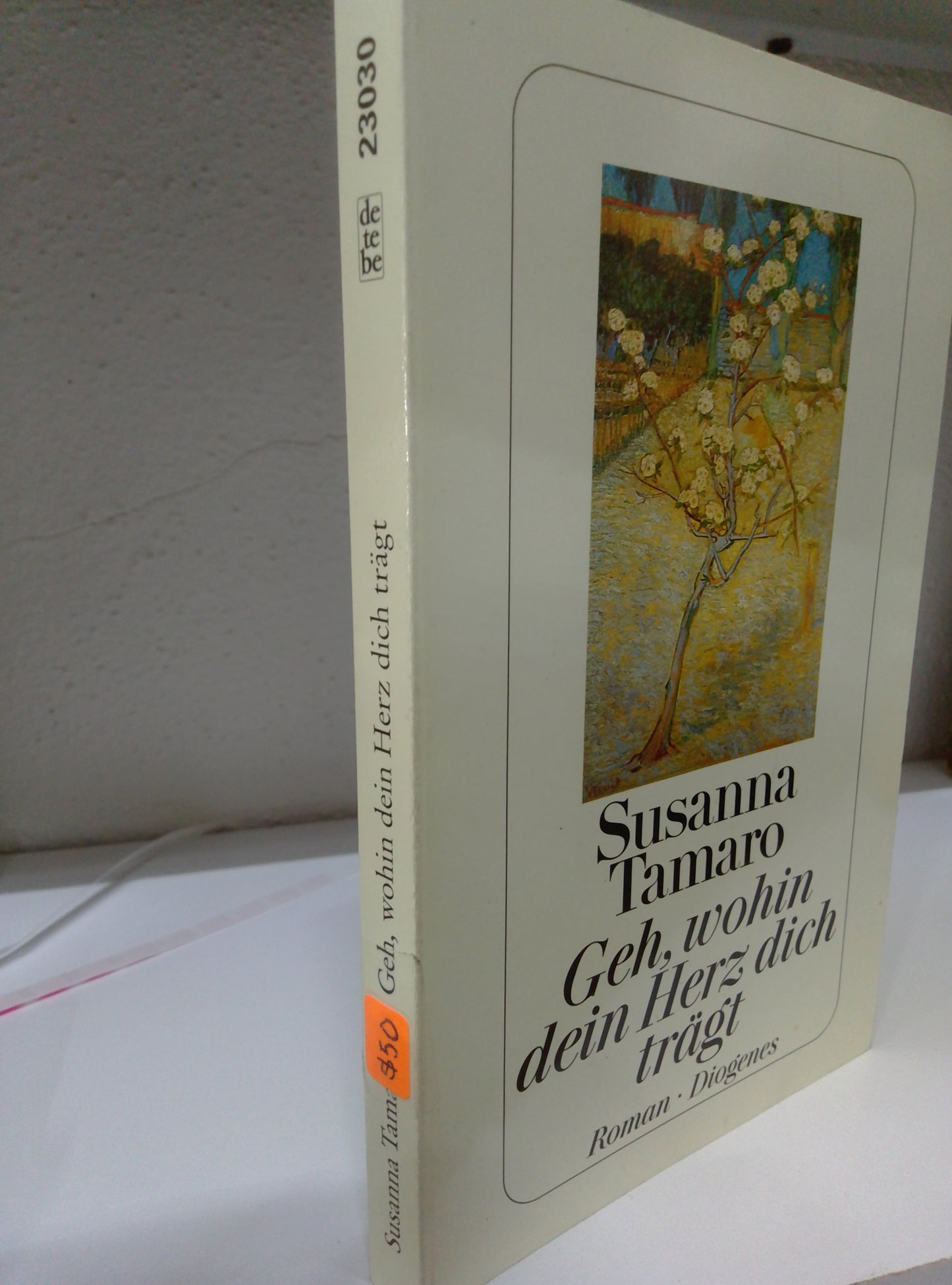 GEH WOHIN DEIN HERZ DICH TRÄGT SUSANA TAMARO USADO IDIOMAS JUAREZ 515