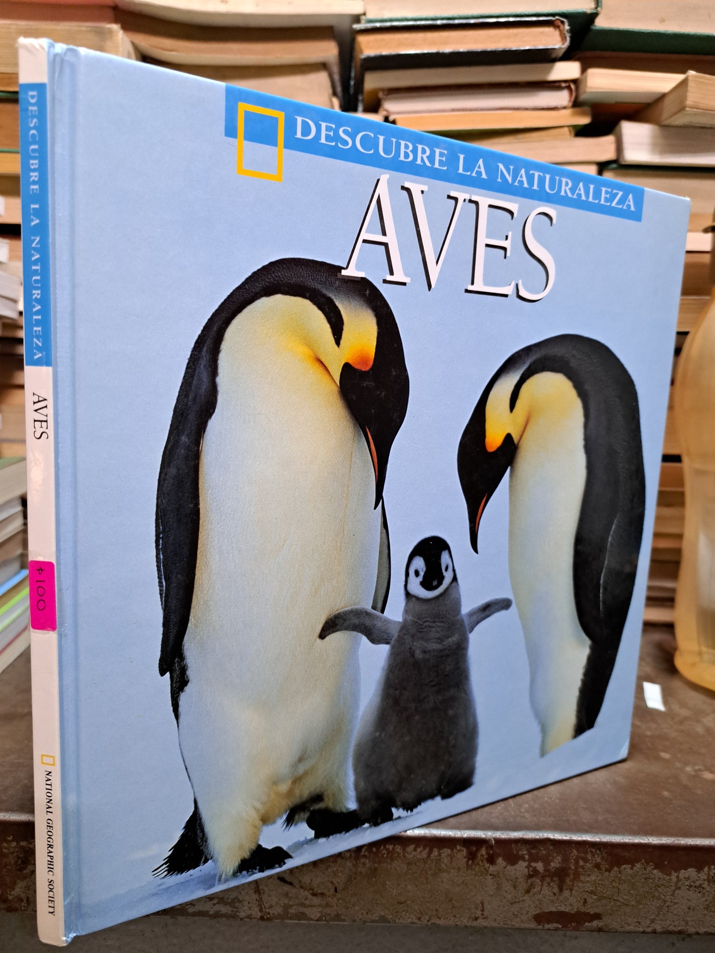 DESCUBRE LA NATURALEZA AVES K.M. KOSTYAL USADO INFANTIL ALDAMA