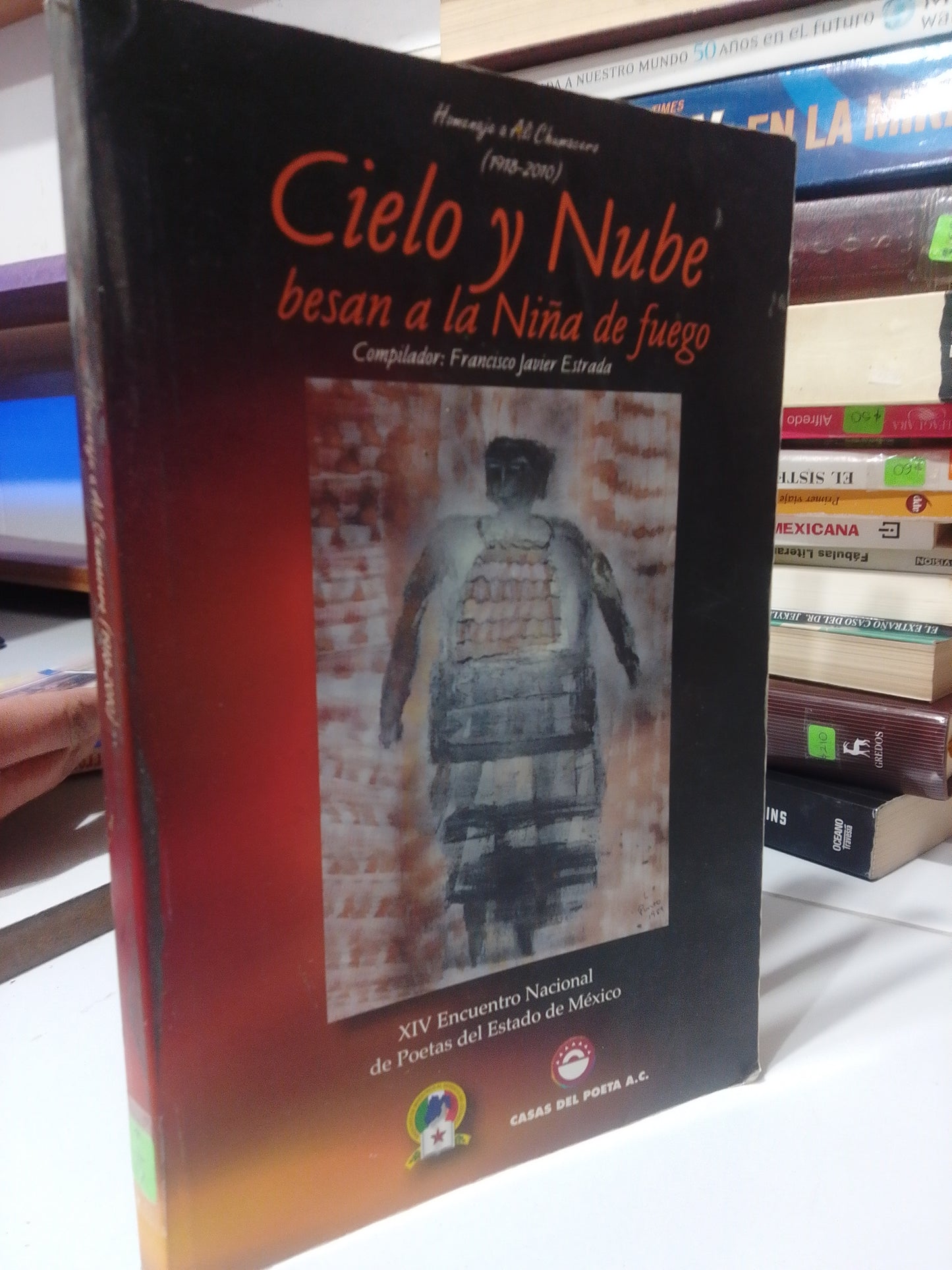 CIELO Y NUBE BESAN A LA NIÑA DE FUEGO POR FRANCISCO JAVIER ESTRADA USADO NOVELA JUAREZ