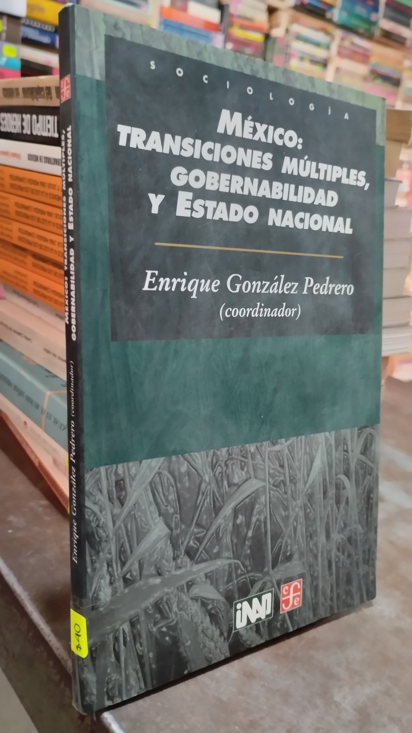 MEXICO TRANSICIONES MULTIPLES GOBERNABILIDAD Y ESTADO NACIONAL POR ENRIQUE GONZALEZ PEDRERO LIBRO USADO POLITICA ALDAMA